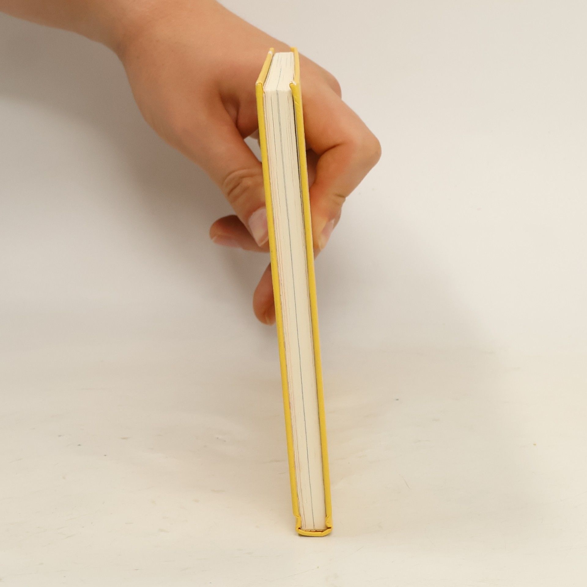 Rosemarie Seibold Teddy Taps in Nöten. Druckschrift