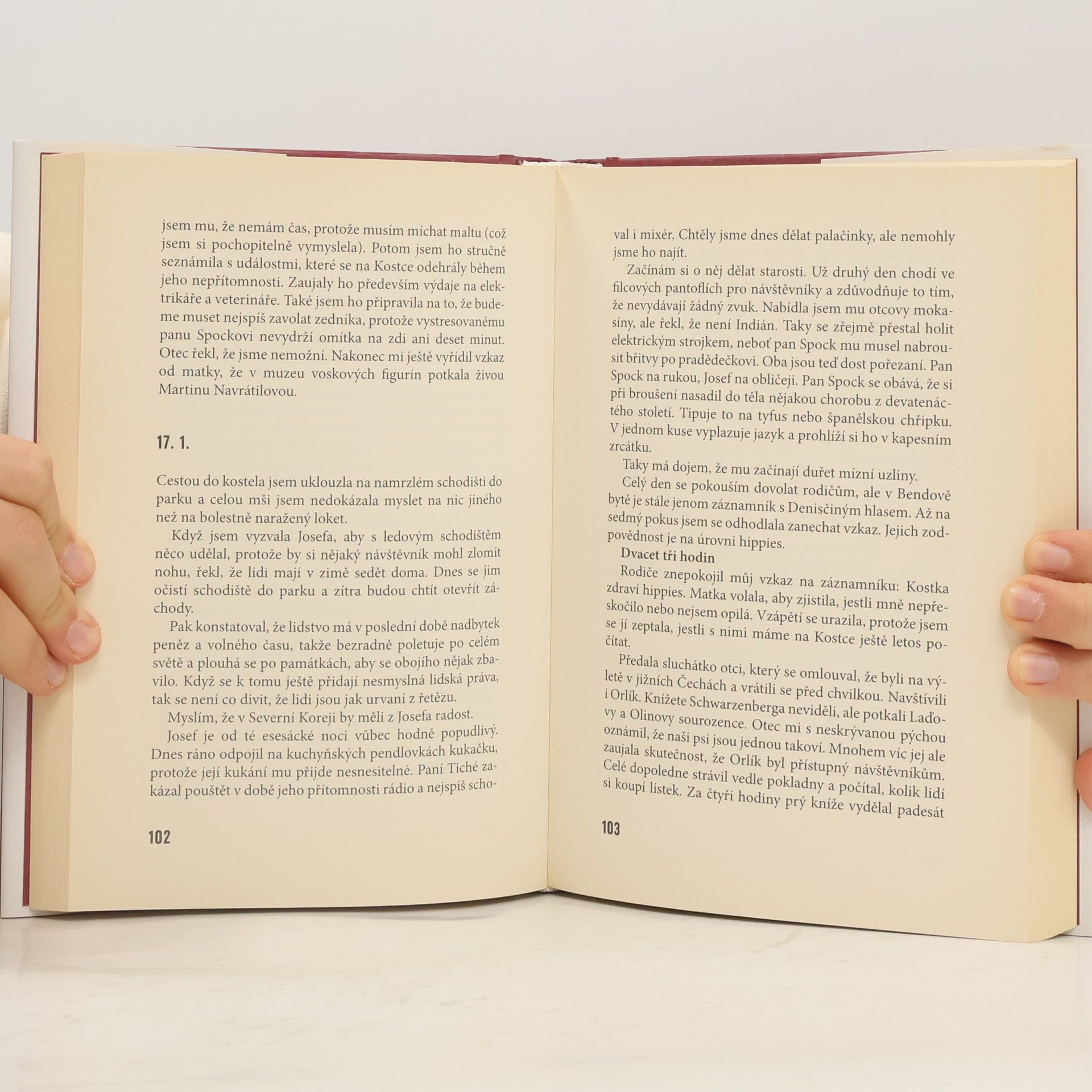 Evžen Boček Poslední aristokratka