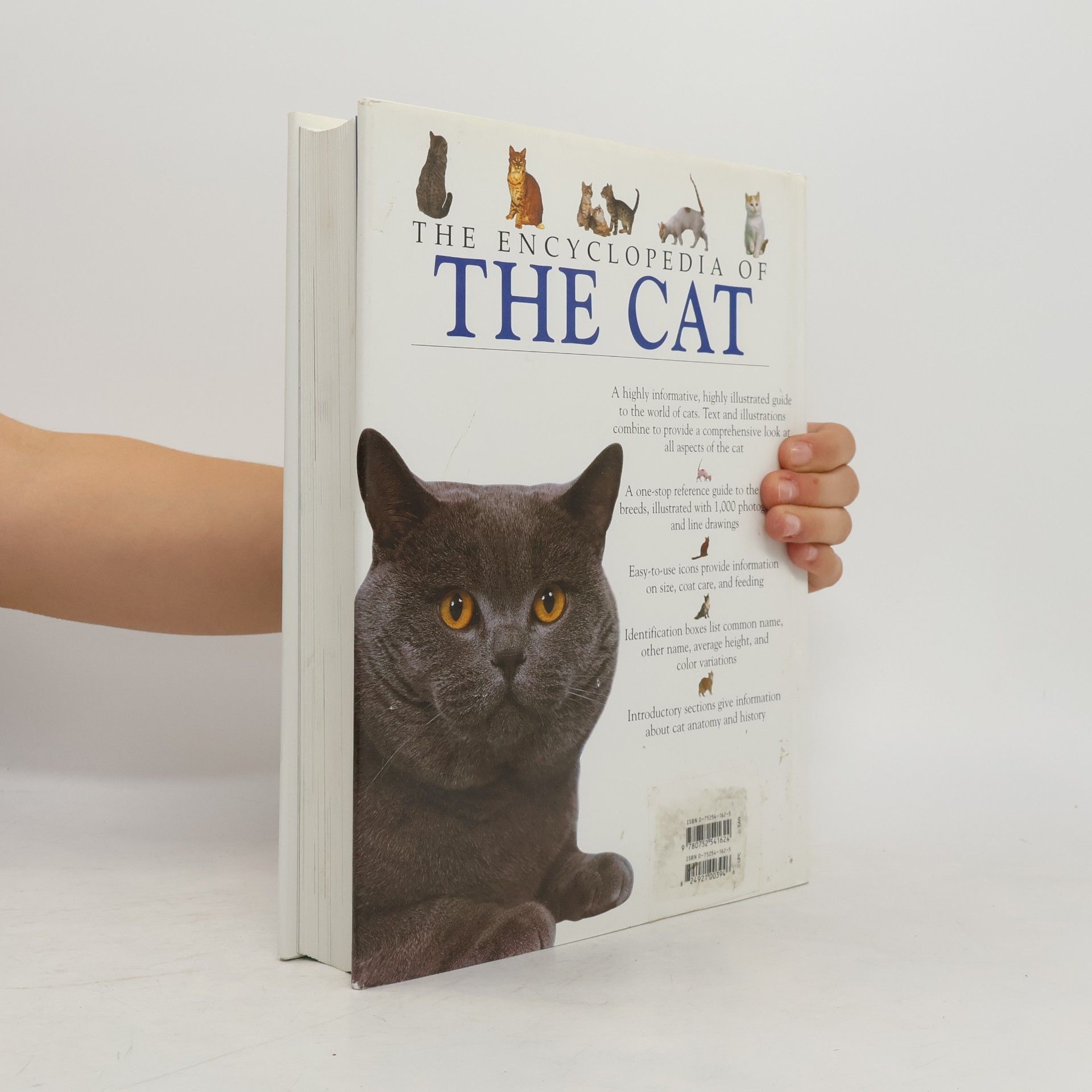Michael Pollard The Encyclopedia of The Cat