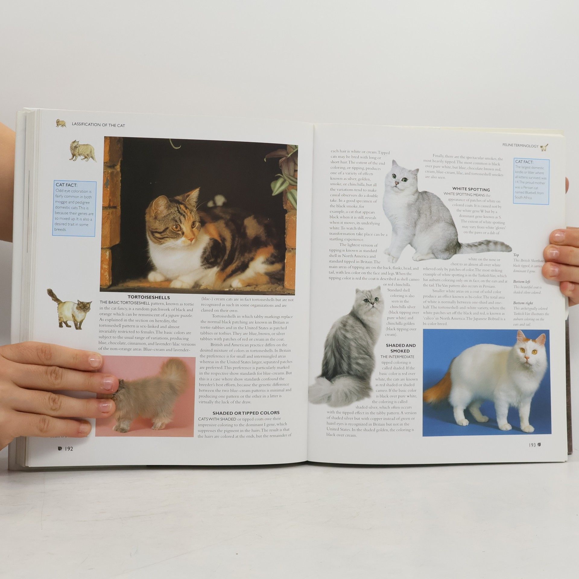 Michael Pollard The Encyclopedia of The Cat