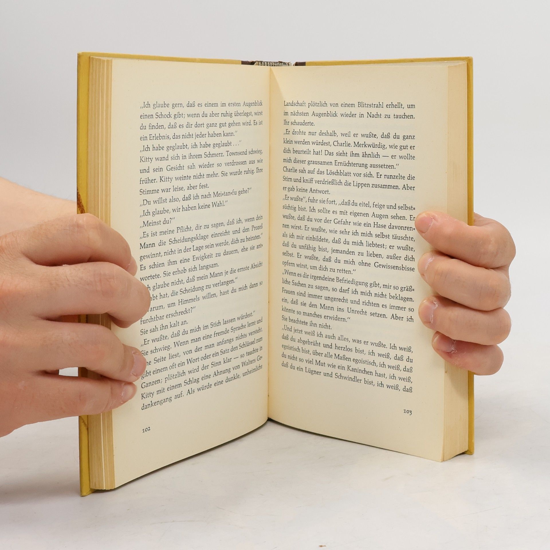 William Somerset Maugham Der bunte Schleier