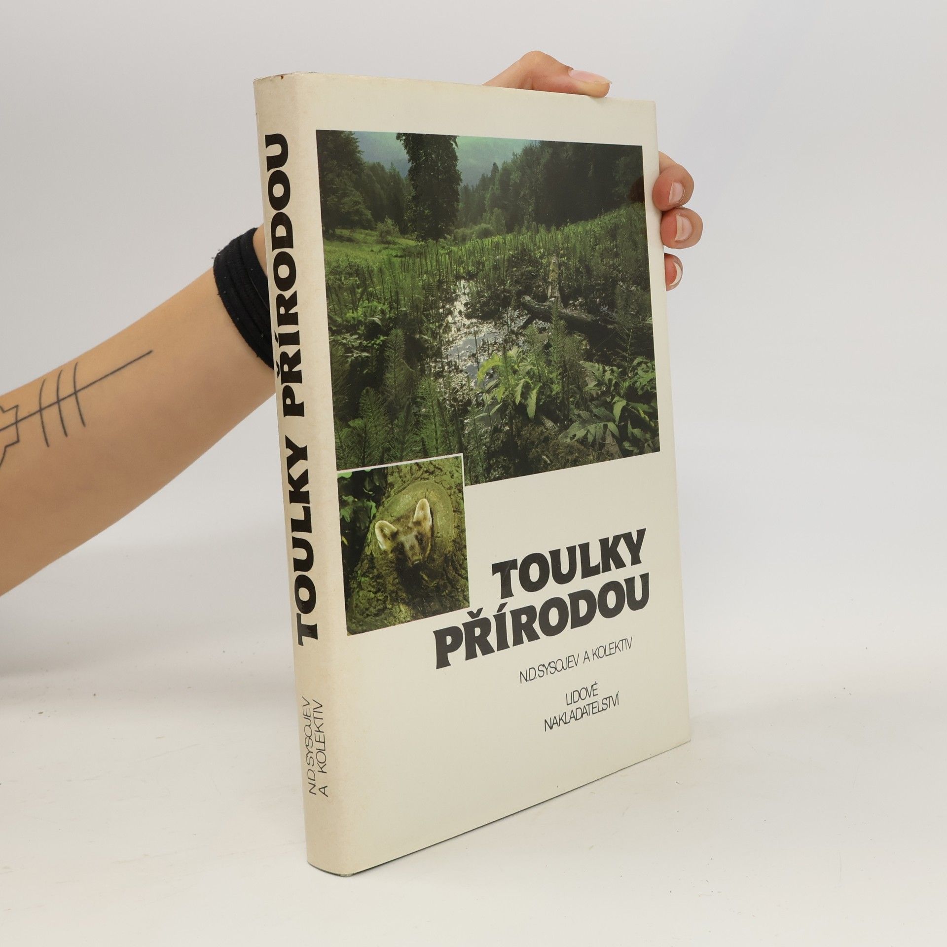 N. D. Sysojev Toulky přírodou