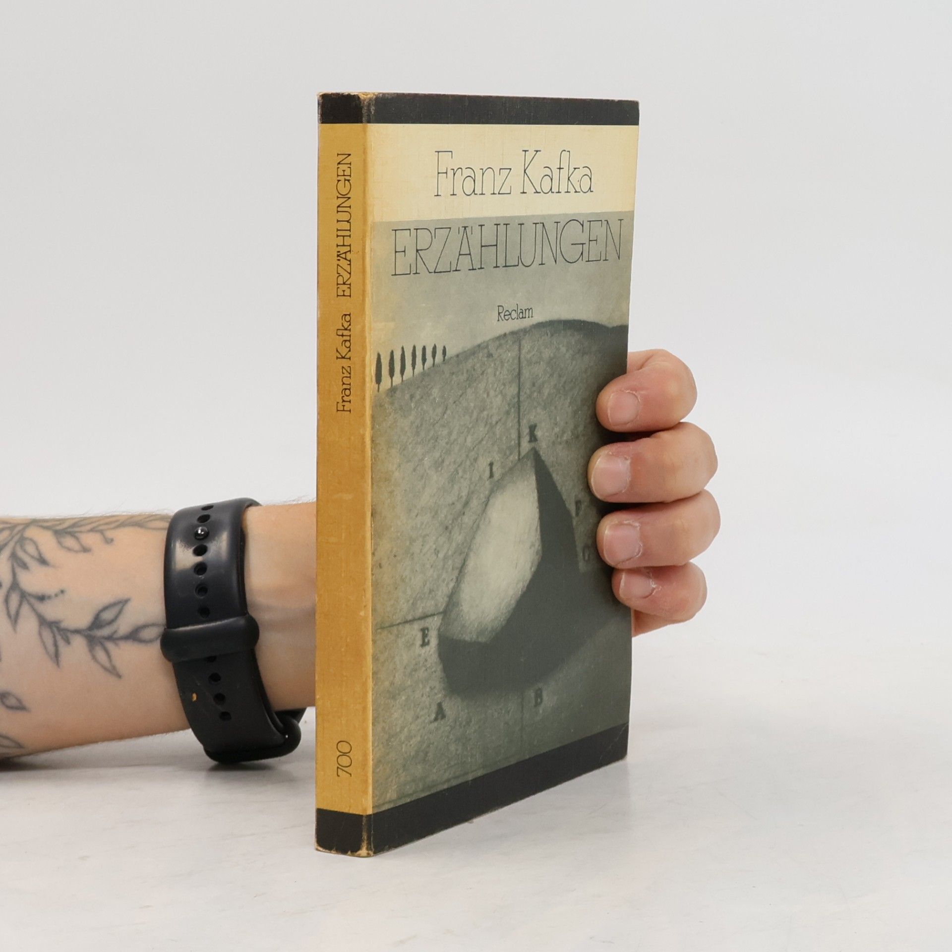 Franz Kafka Erzählungen
