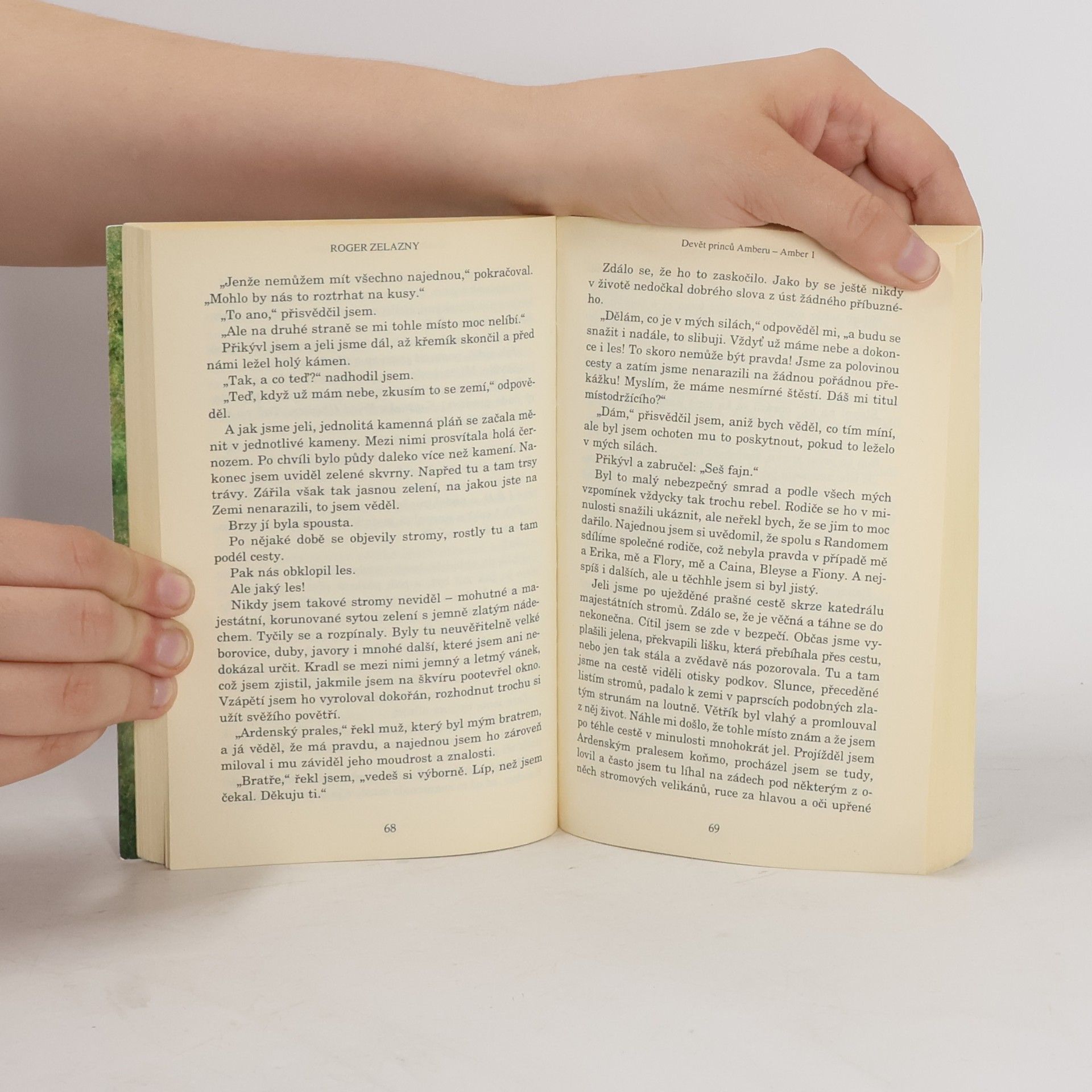 Roger Zelazny Devět princů Amberu