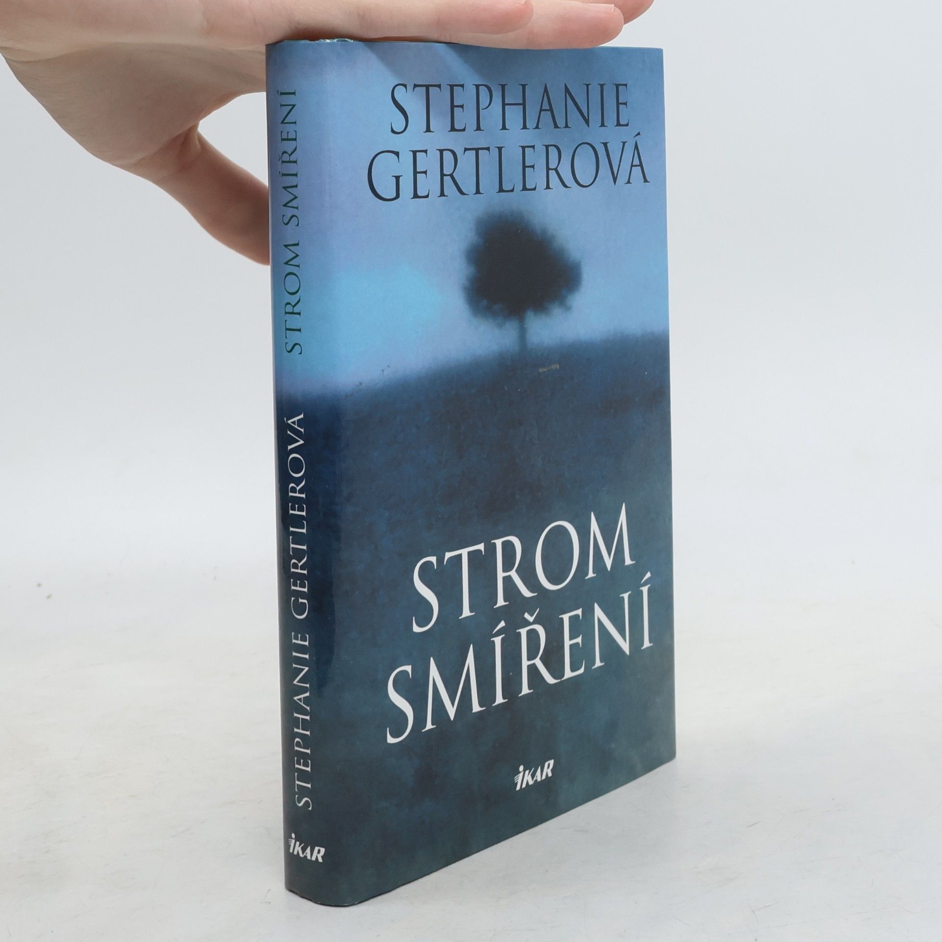 Stephanie Gertler Strom smíření