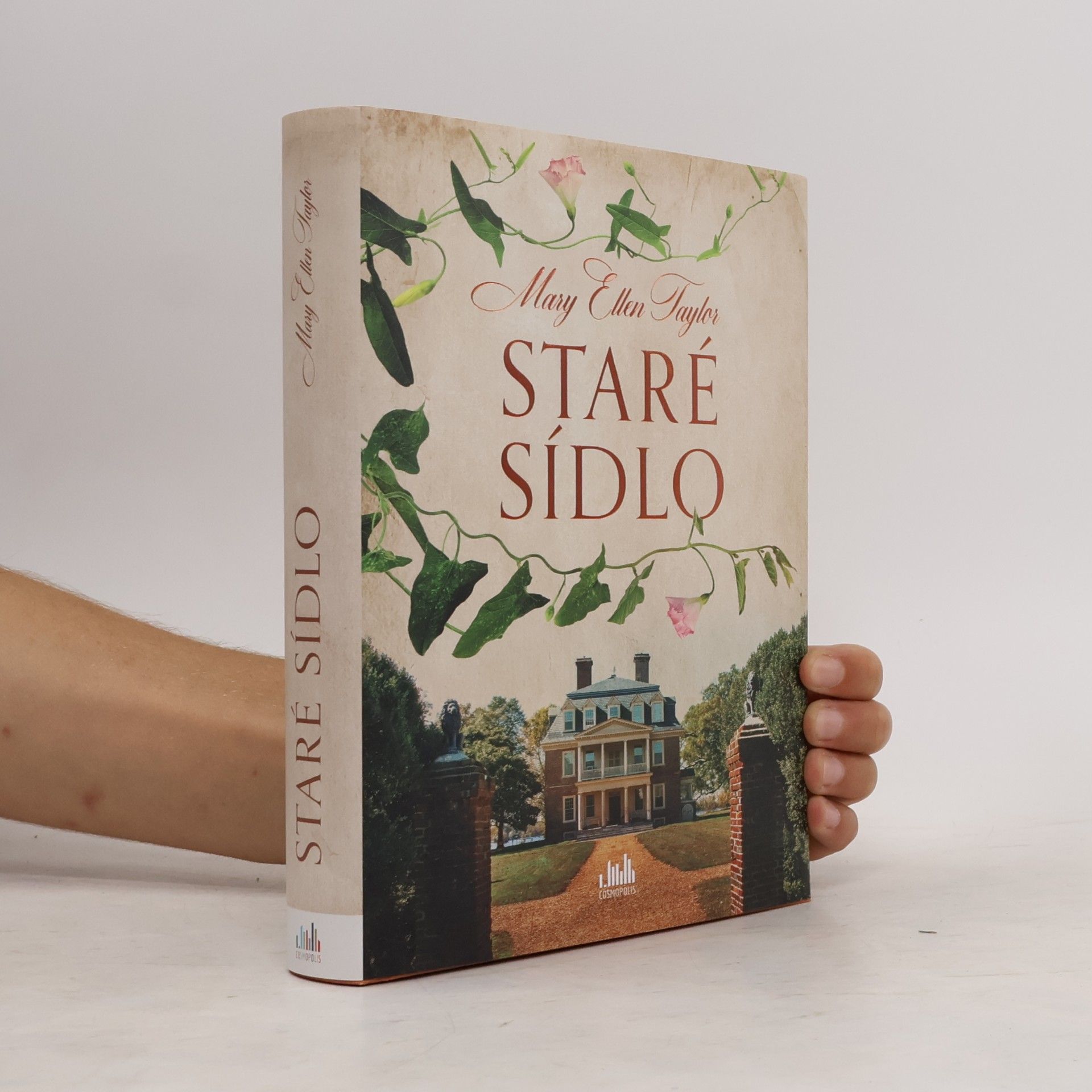 Mary Ellen Taylor Staré sídlo