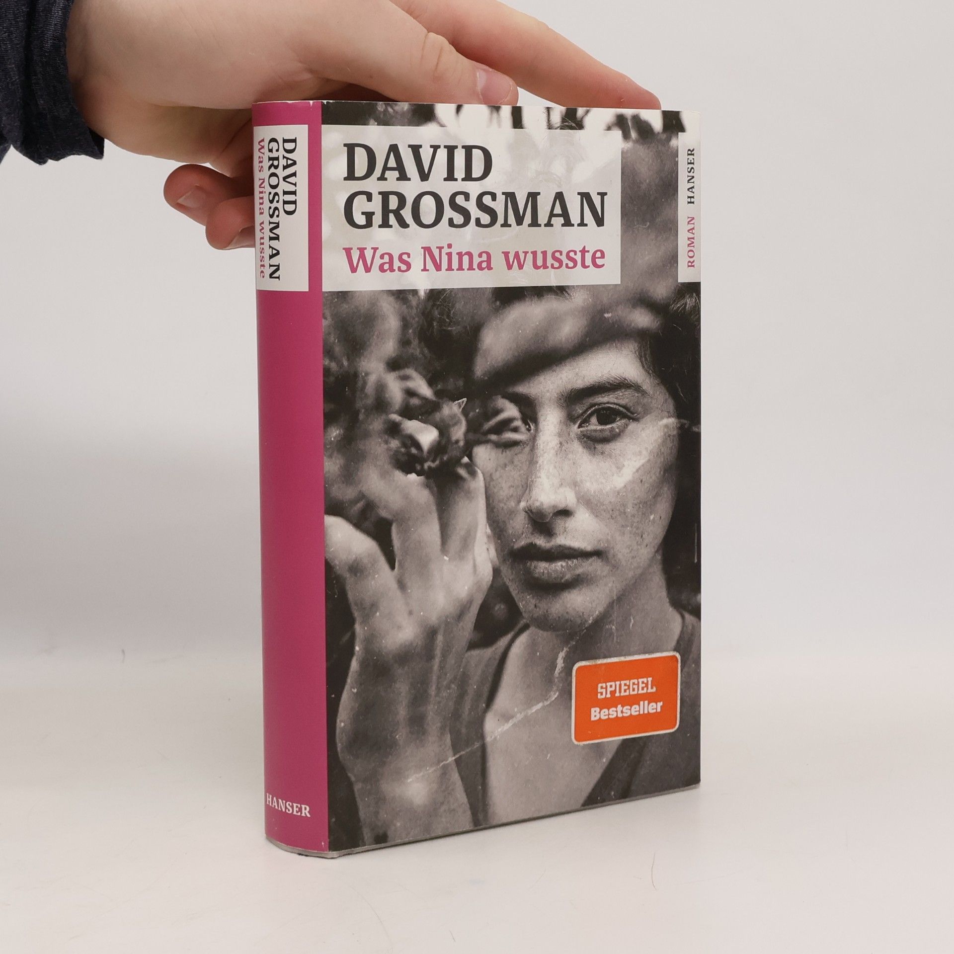 David Grossman Was Nina wusste
