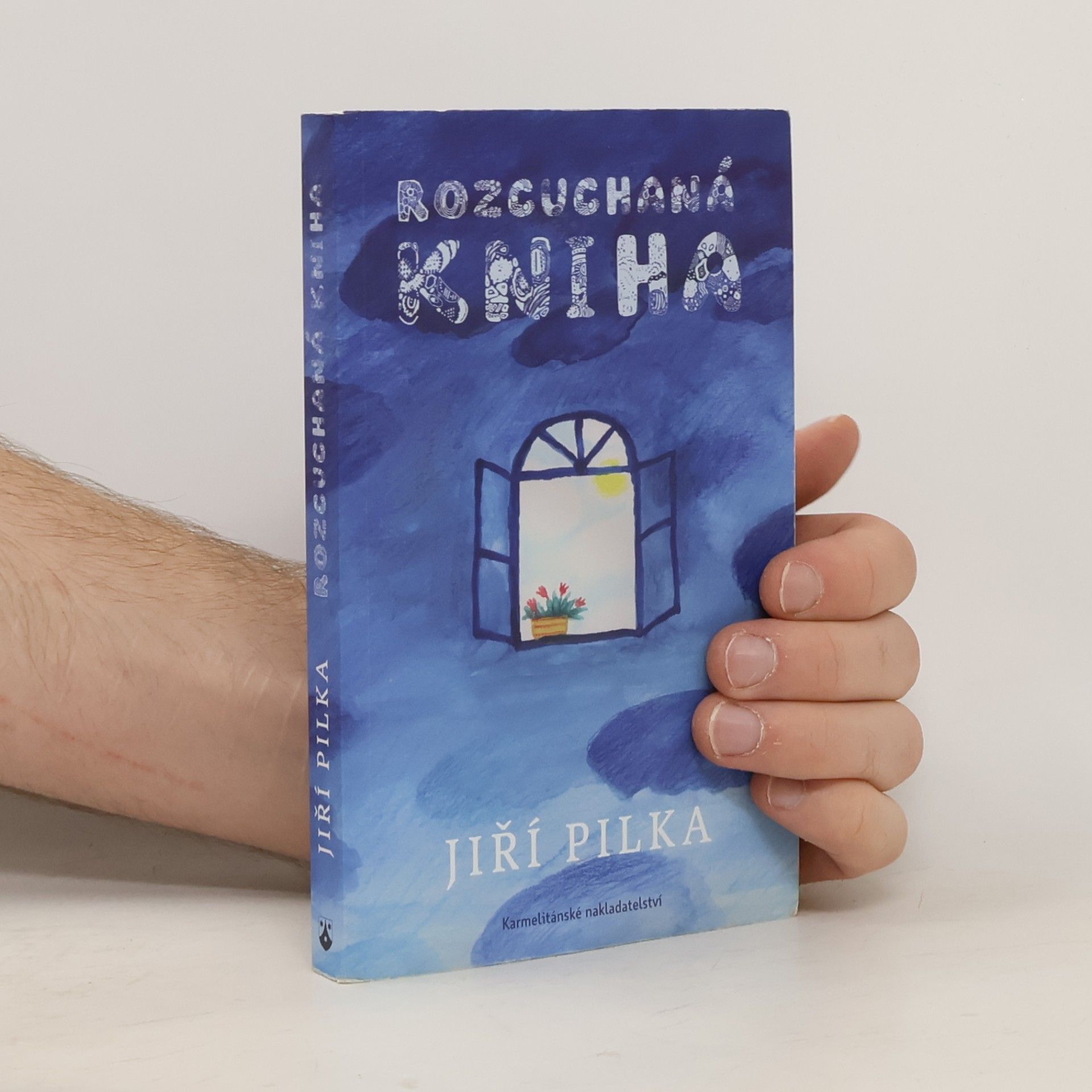 Jiří Pilka Rozcuchaná kniha