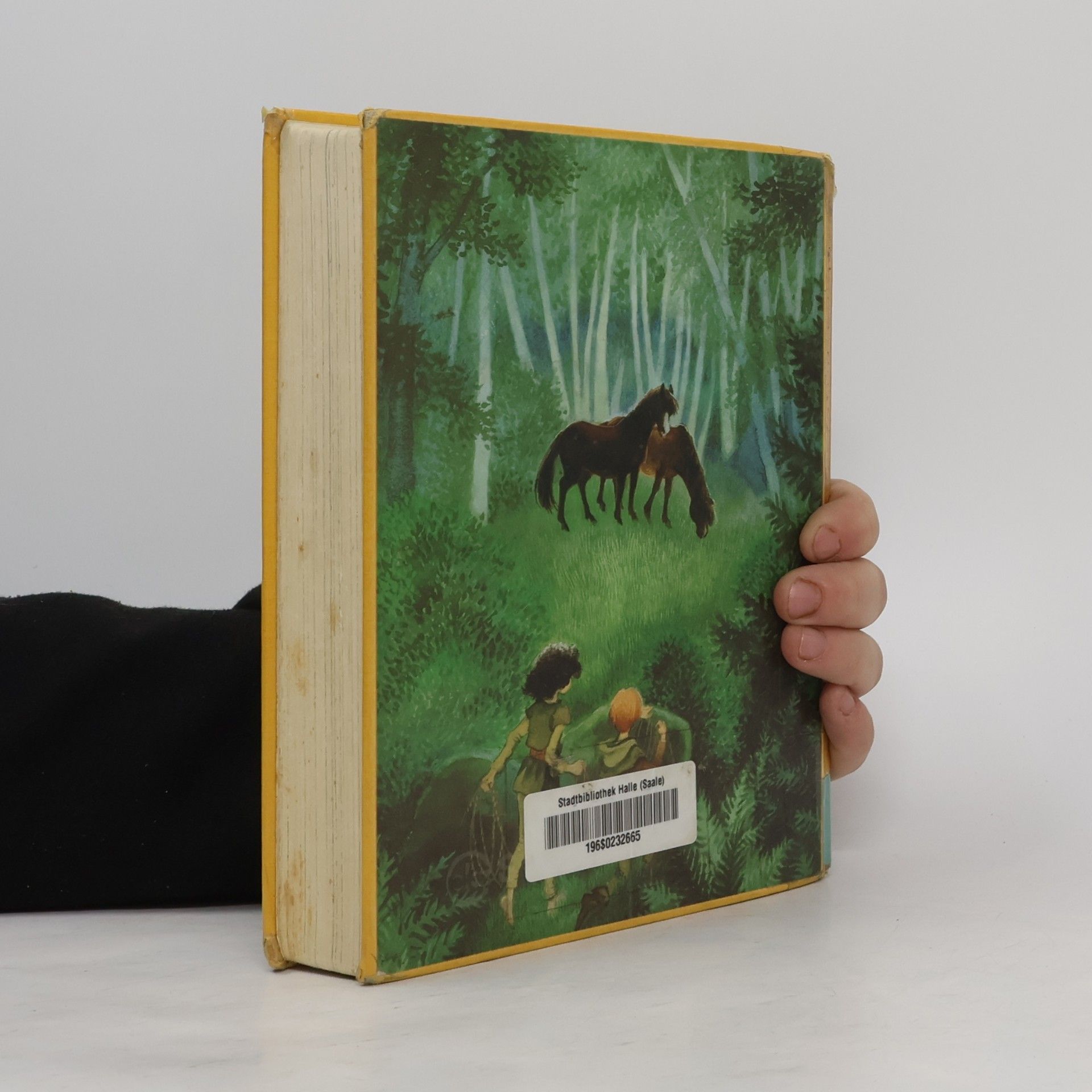Astrid Lindgren Ronja Räubertochter