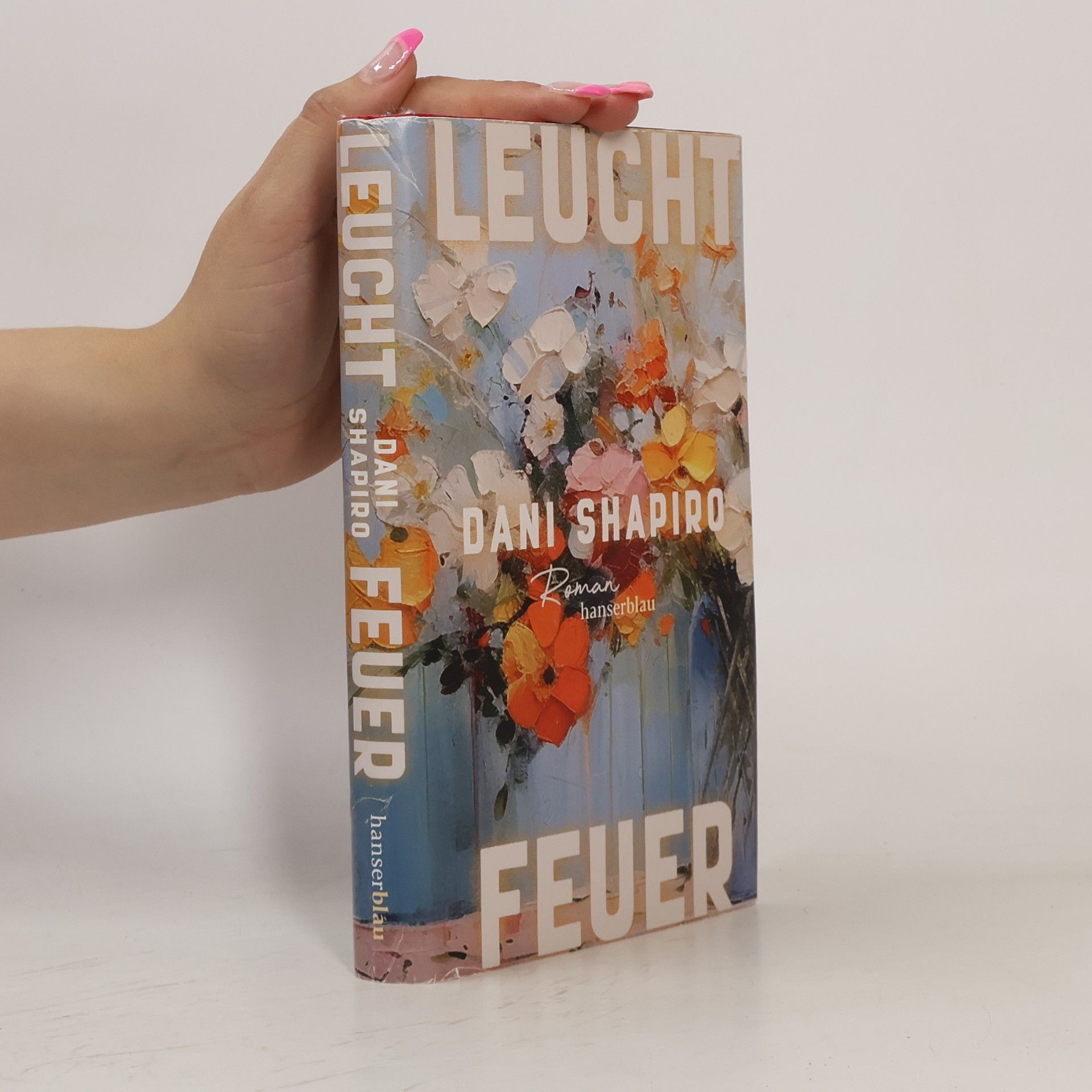 Dani Shapiro Leuchtfeuer