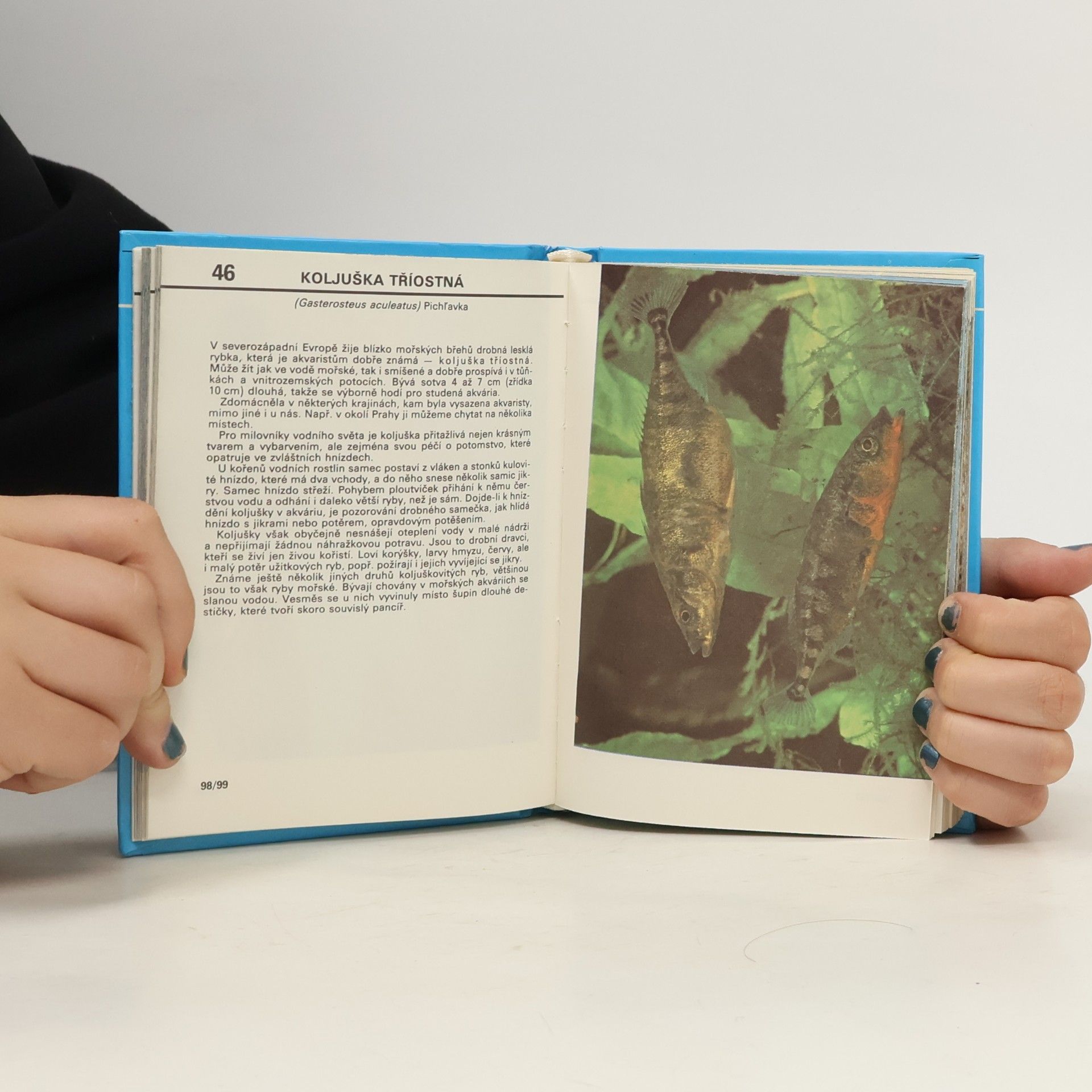 Otakar Štěpánek Kapesní atlas ryb, obojživelníků a plazů