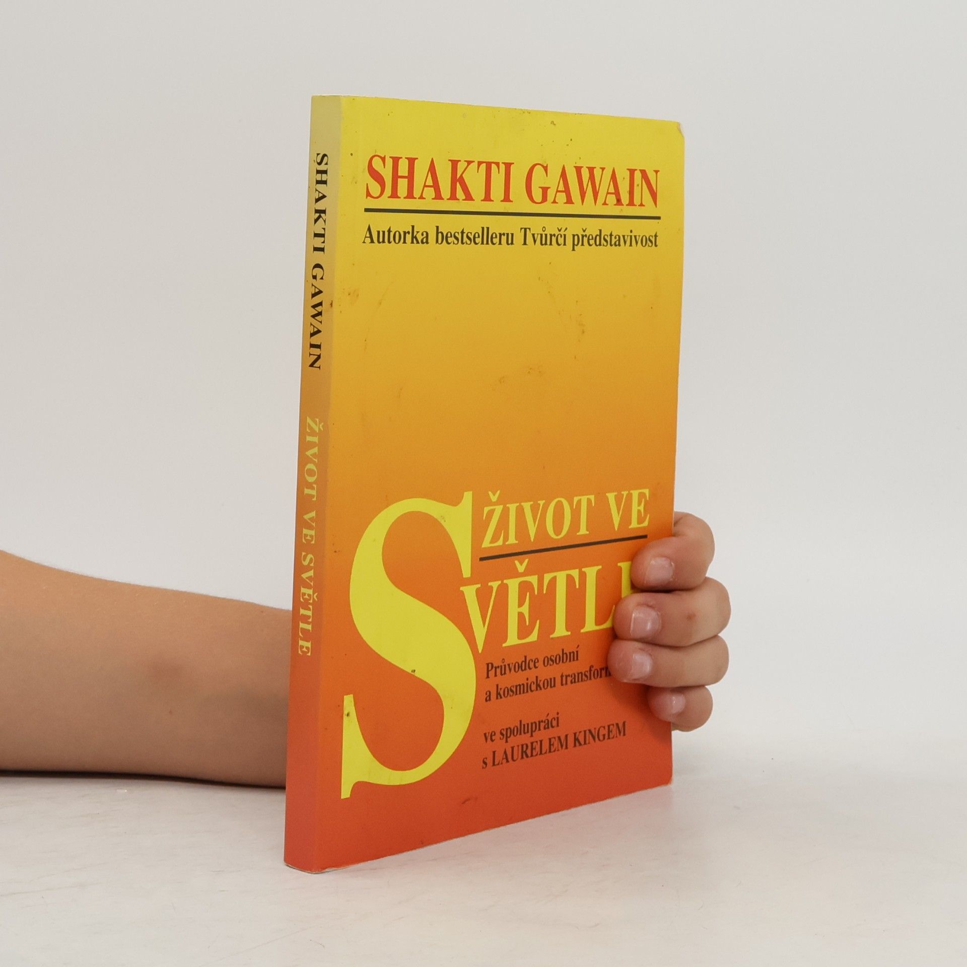 Shakti Gawain Život ve světle