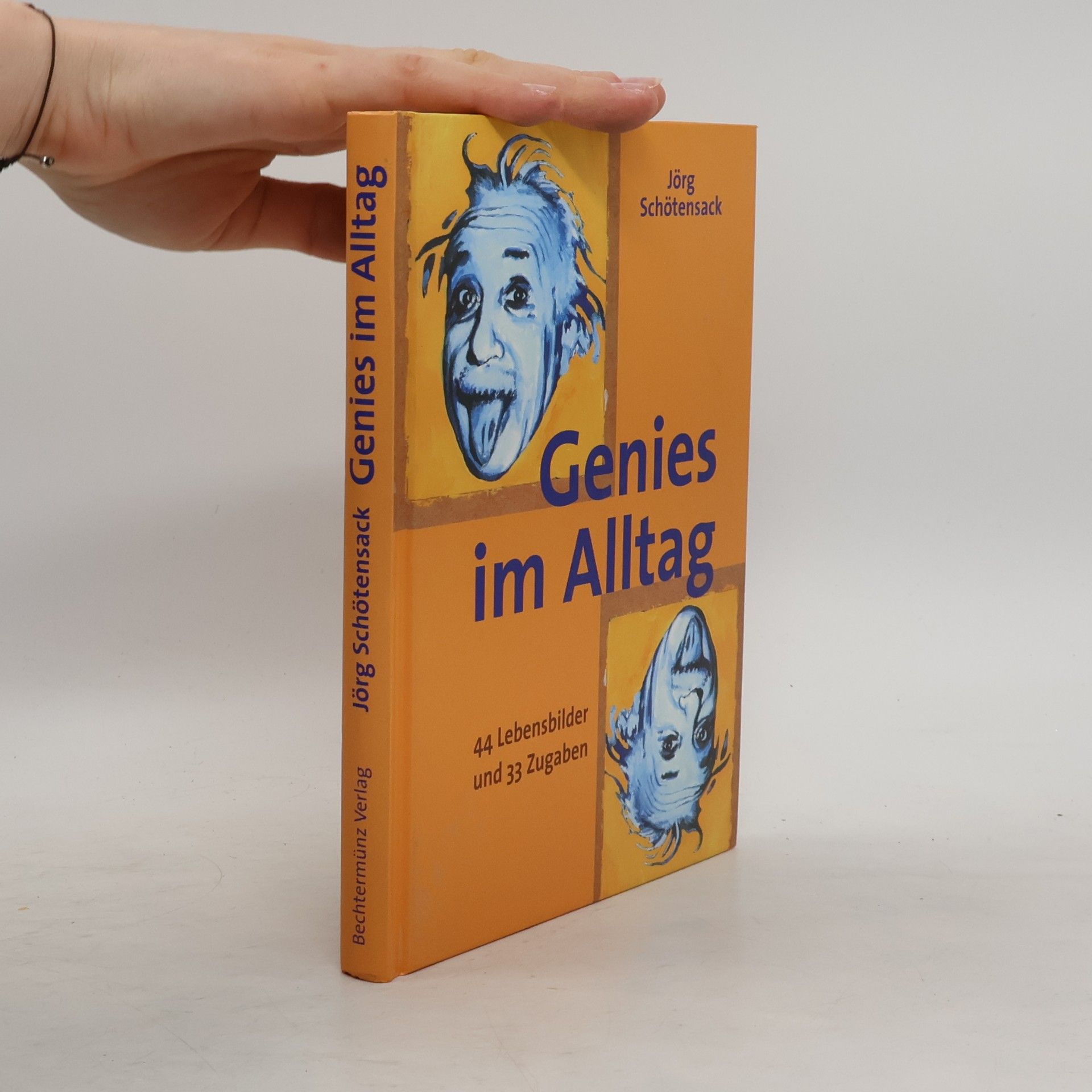 Jörg-Steffen Schötensack Genies im Alltag.