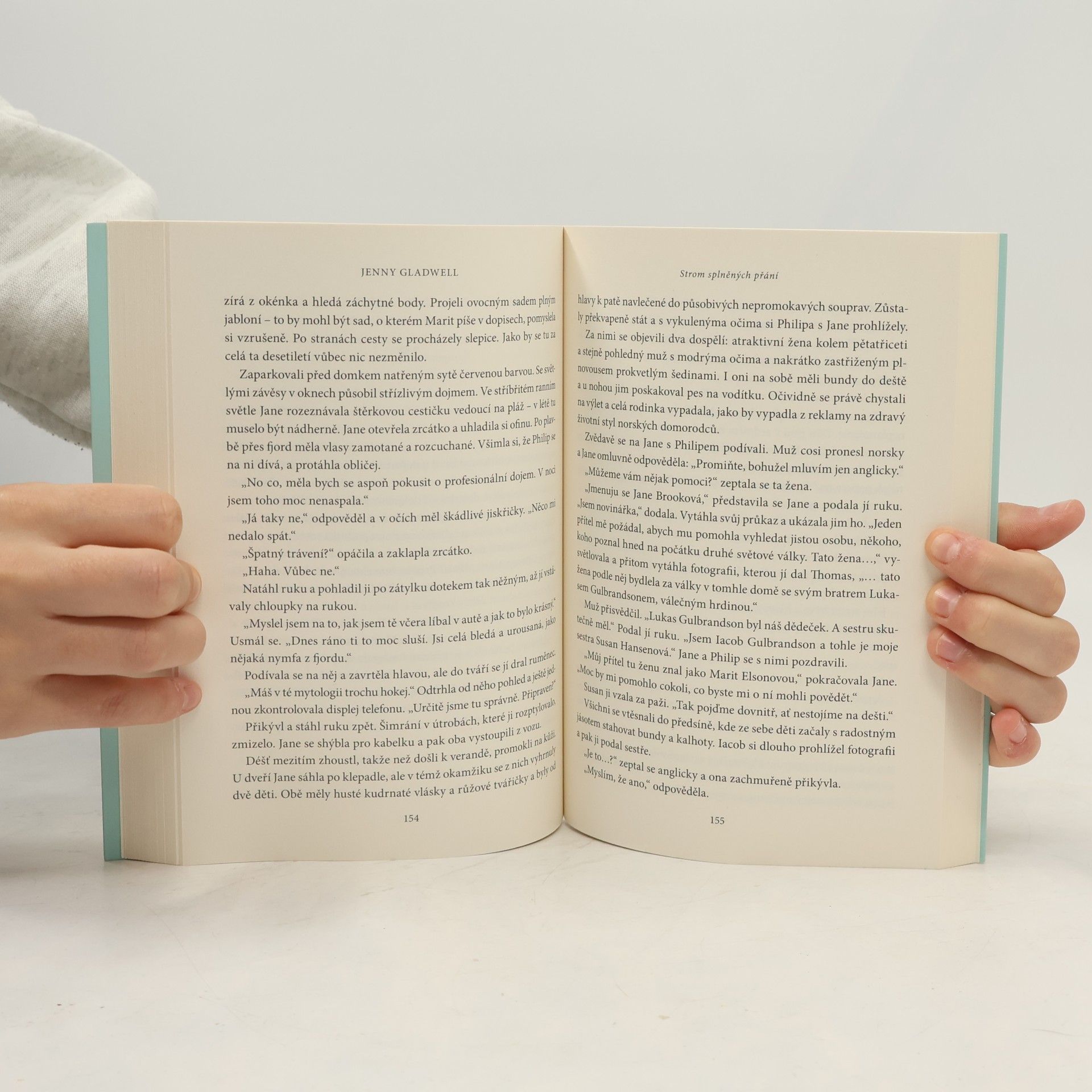 Jenny Gladwell Strom splněných přání