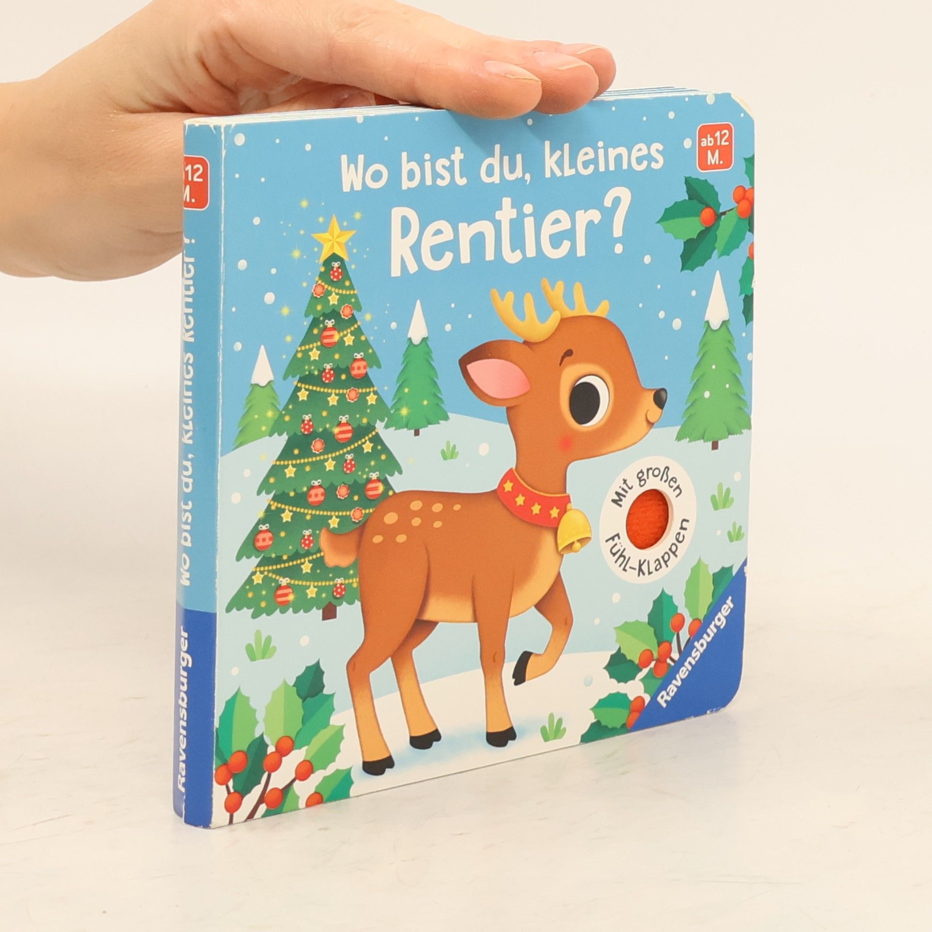 Meike Theda Wo bist du, kleines Rentier?