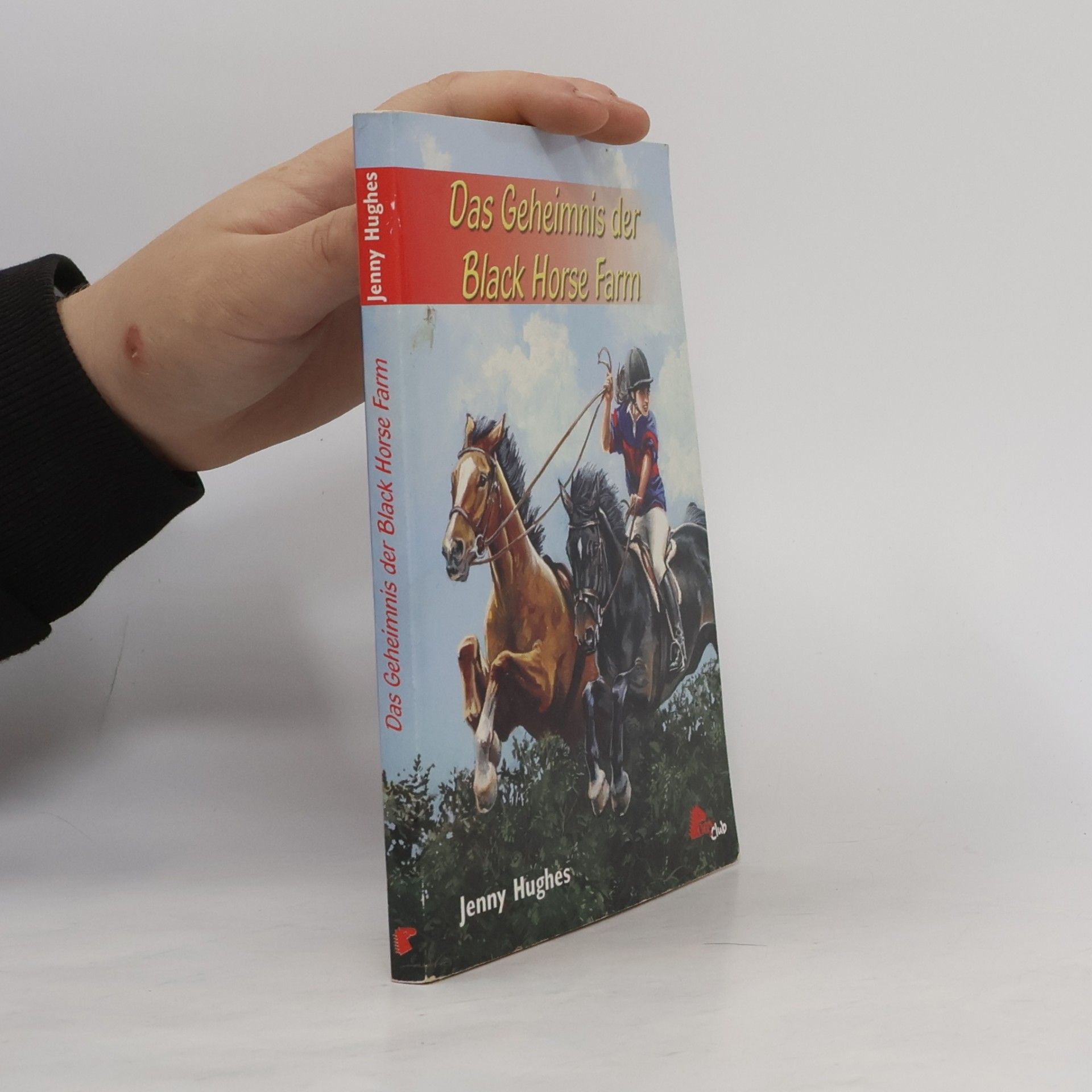 Jenny Hughes Das Geheimnis der Black-horse-Farm
