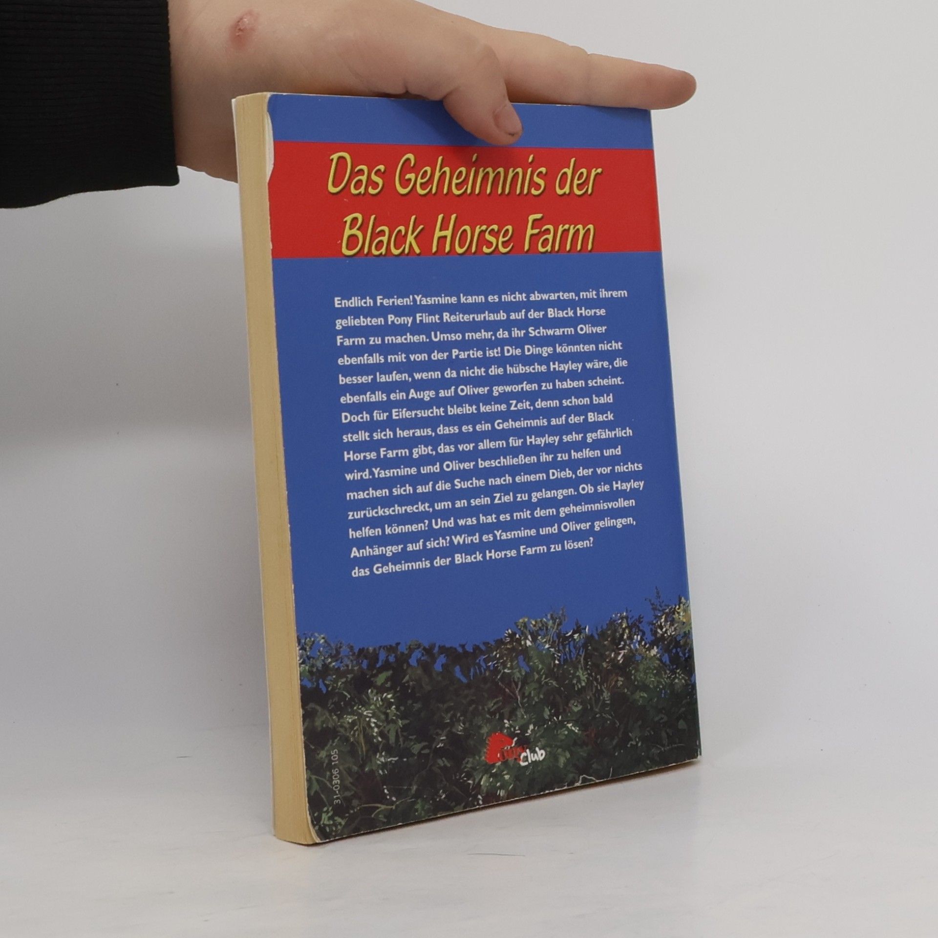 Jenny Hughes Das Geheimnis der Black-horse-Farm