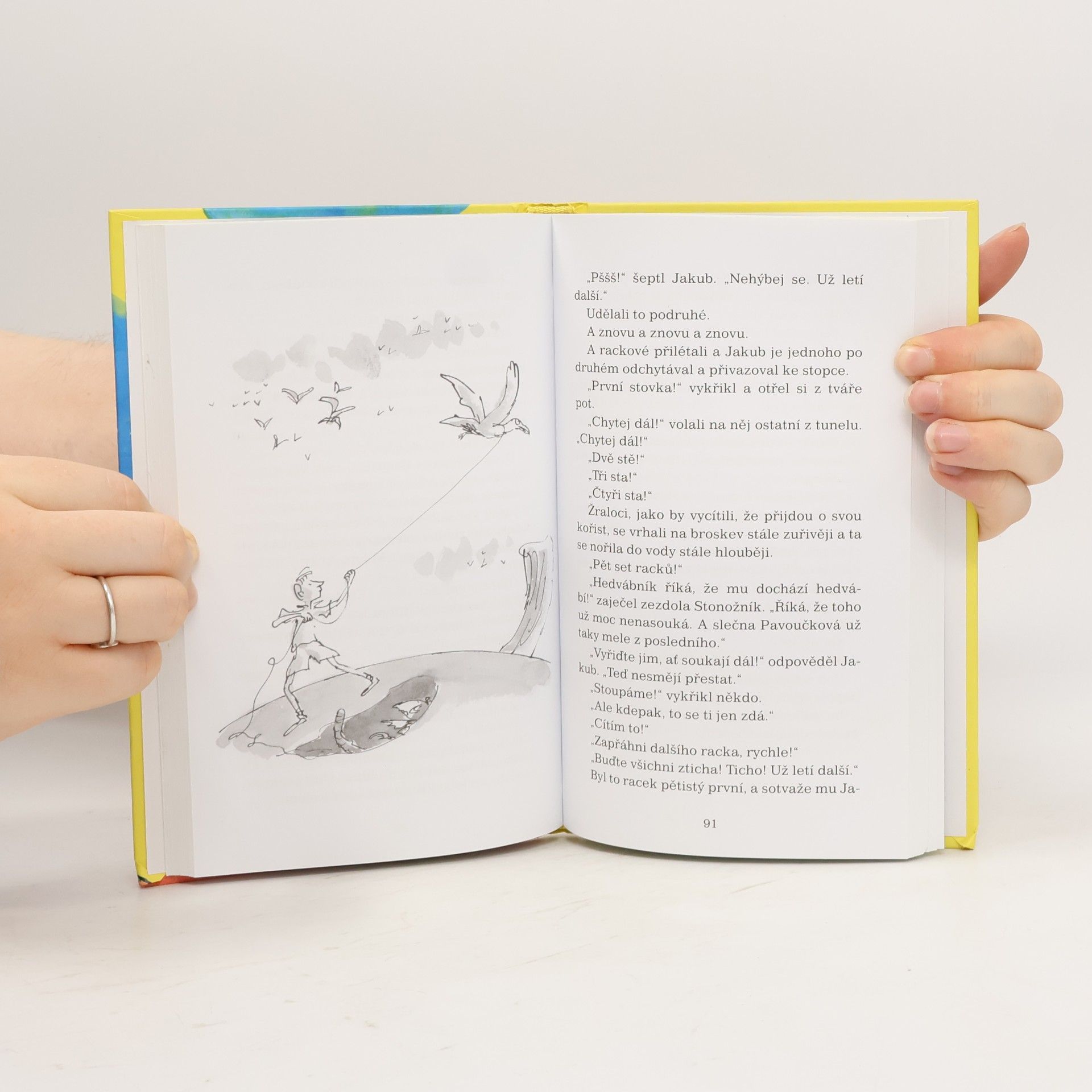 Roald Dahl Jakub a obří broskev