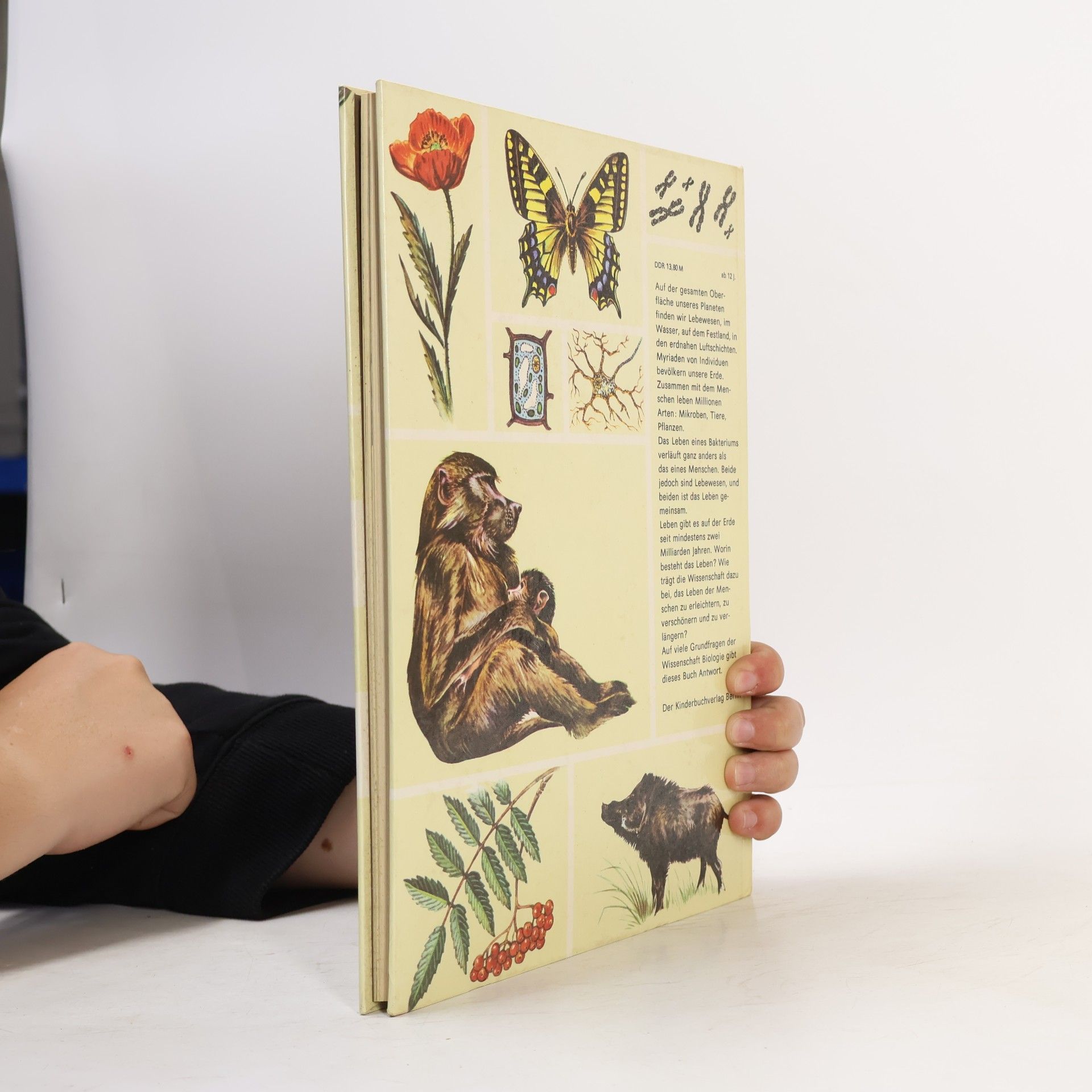 Georg A. Litsche Rund um die Biologie