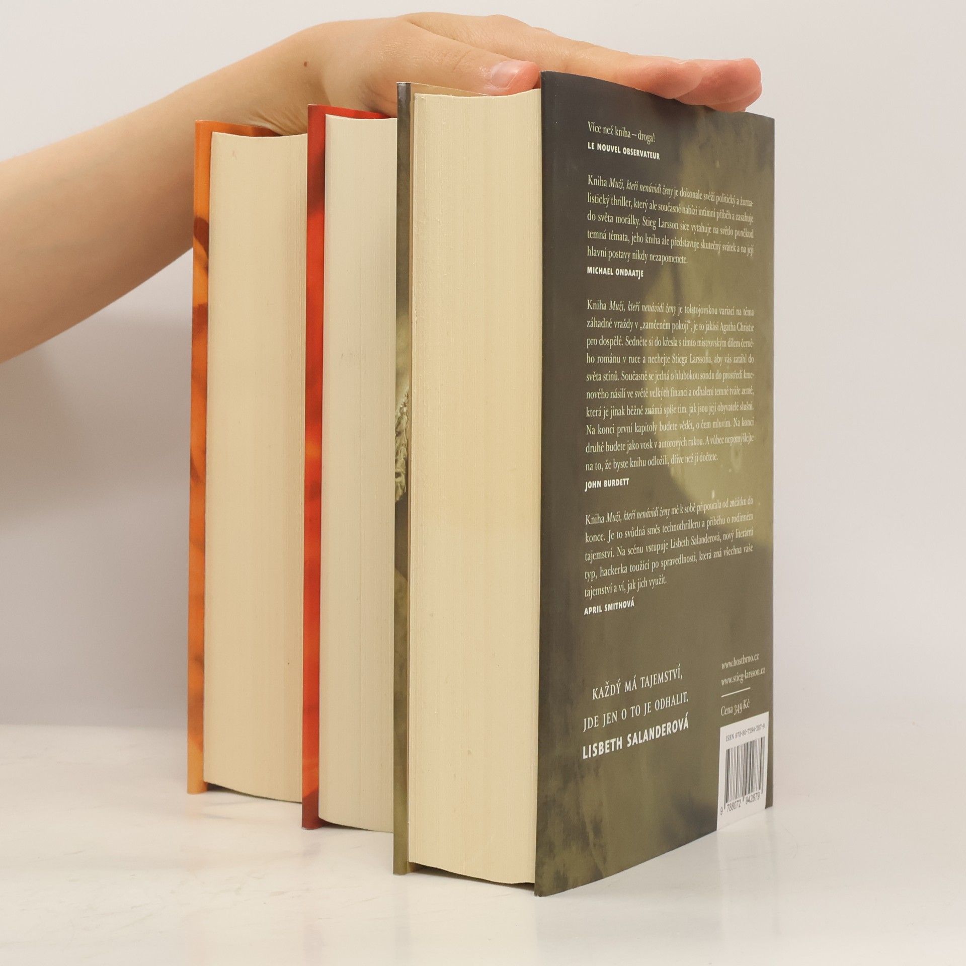 Stieg Larsson Milénium 1-3: Dívka, která kopla do vosího hnízda