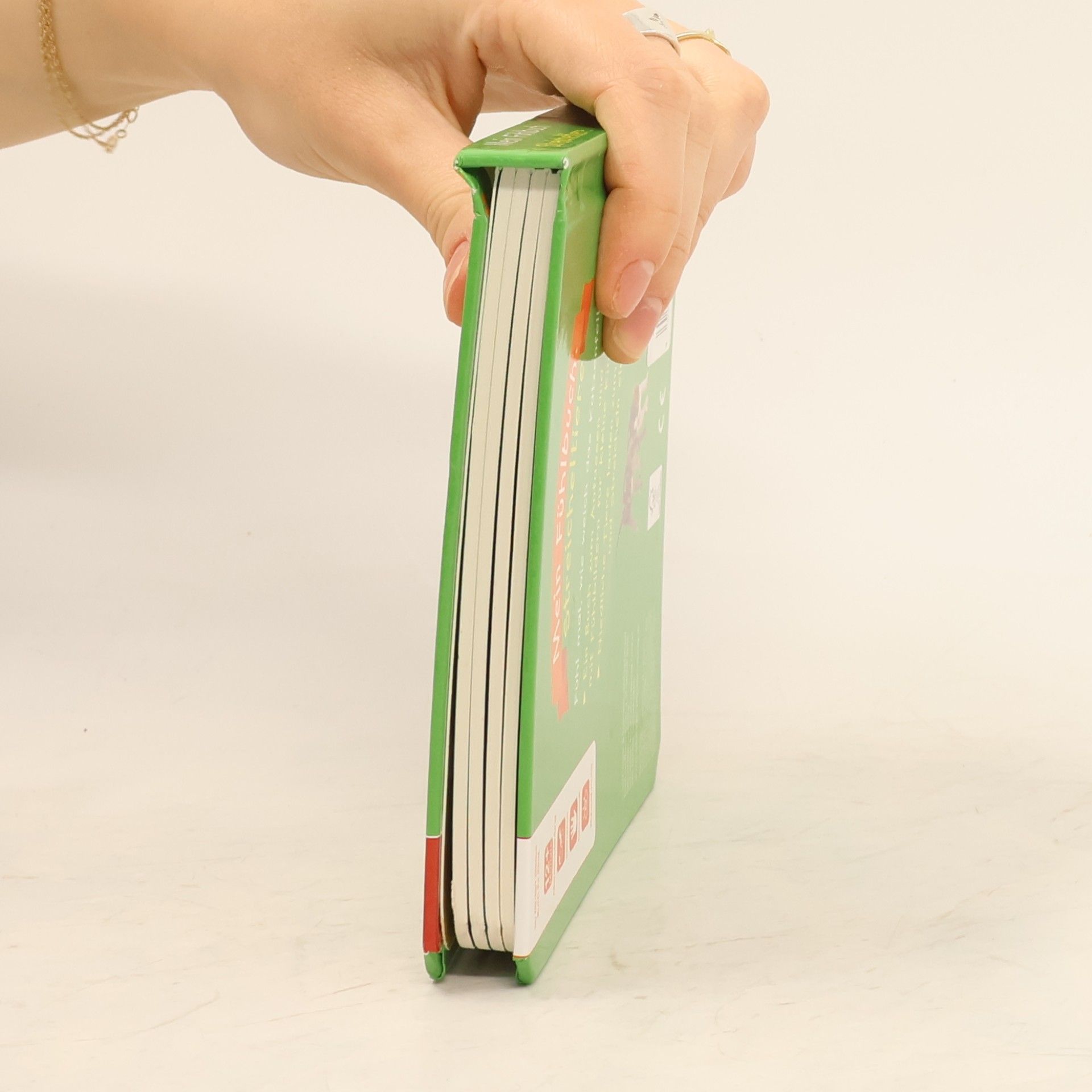 Autores varios Mein Fühlbuch Streicheltiere