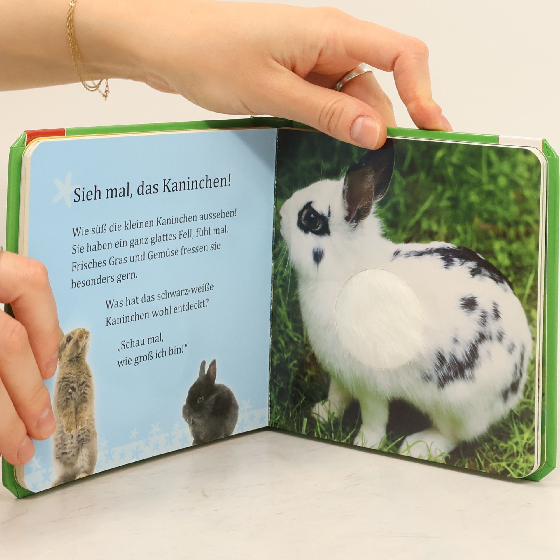 Autores varios Mein Fühlbuch Streicheltiere