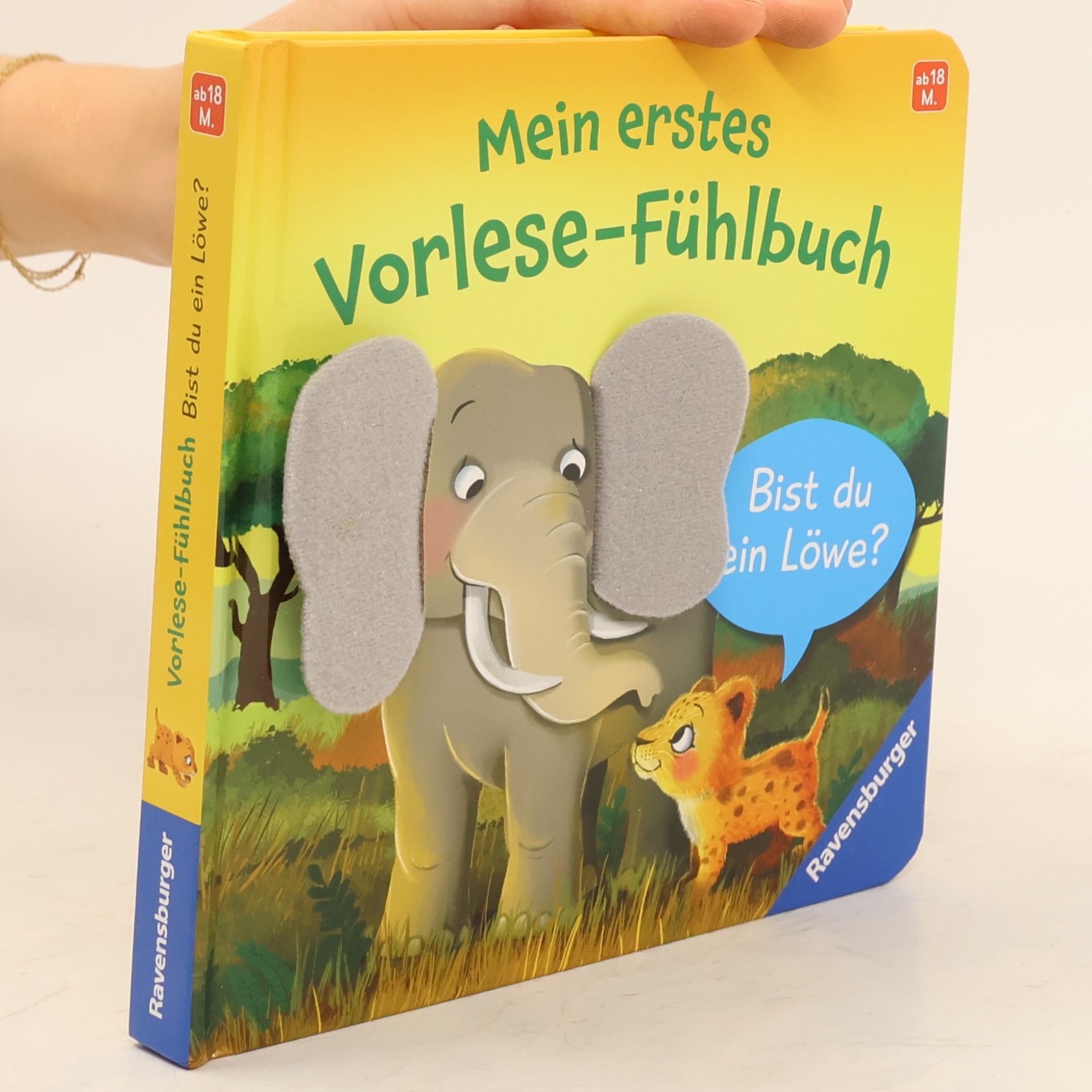 Kathrin-Lena Orso Mein erstes Vorlese-Fühlbuch: Bist du ein Löwe?
