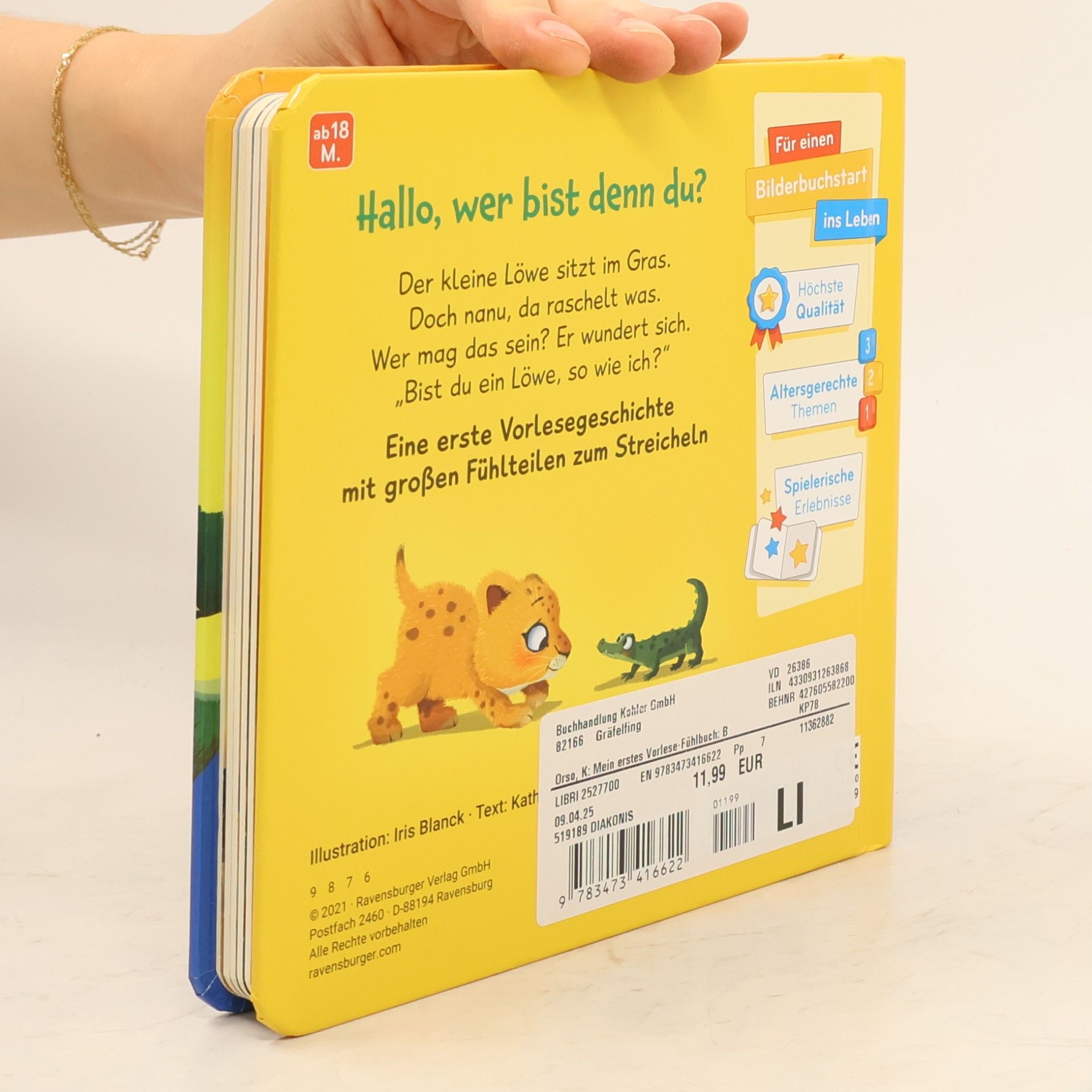 Kathrin-Lena Orso Mein erstes Vorlese-Fühlbuch: Bist du ein Löwe?