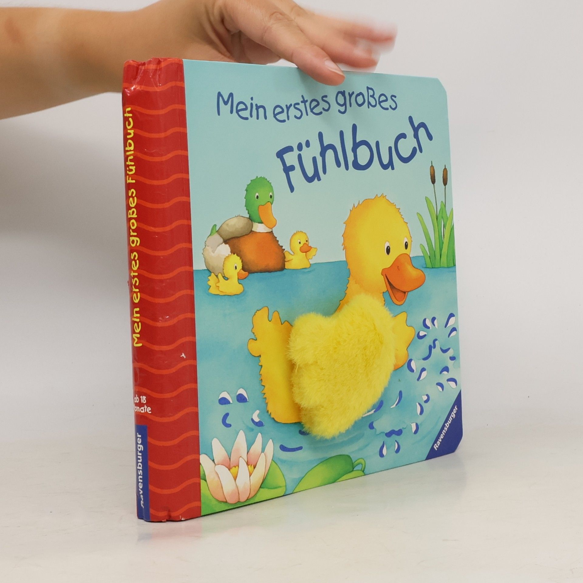 Monika Neubacher Fesser Mein erstes großes Fühlbuch