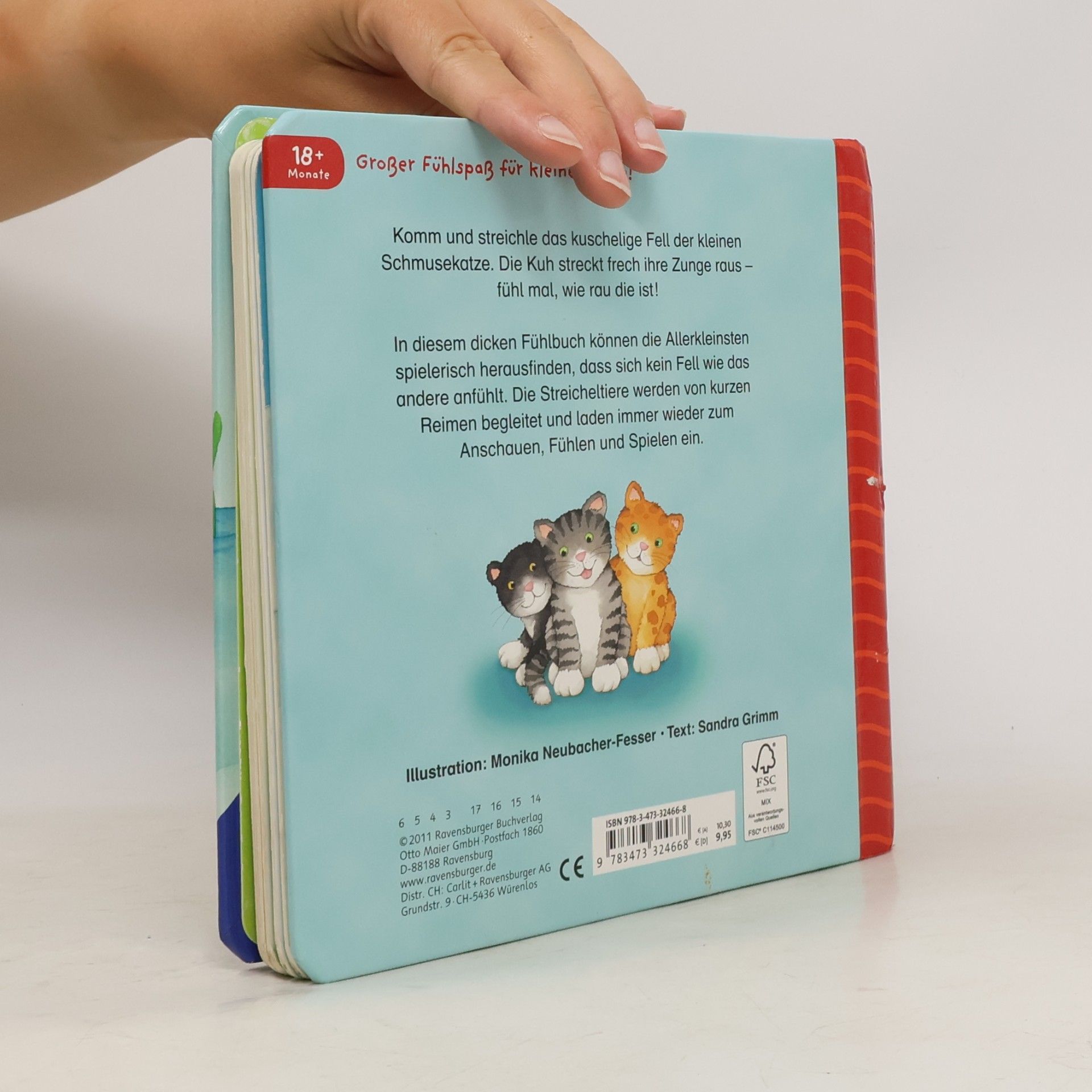 Monika Neubacher Fesser Mein erstes großes Fühlbuch