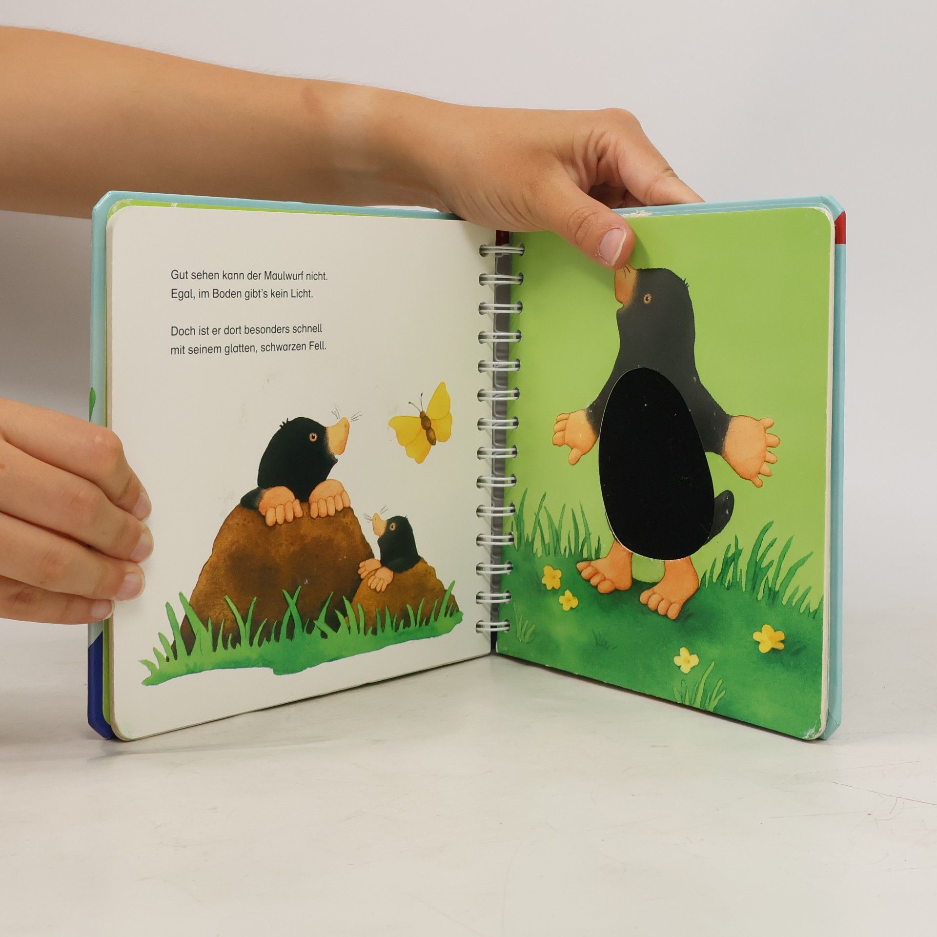 Monika Neubacher Fesser Mein erstes großes Fühlbuch