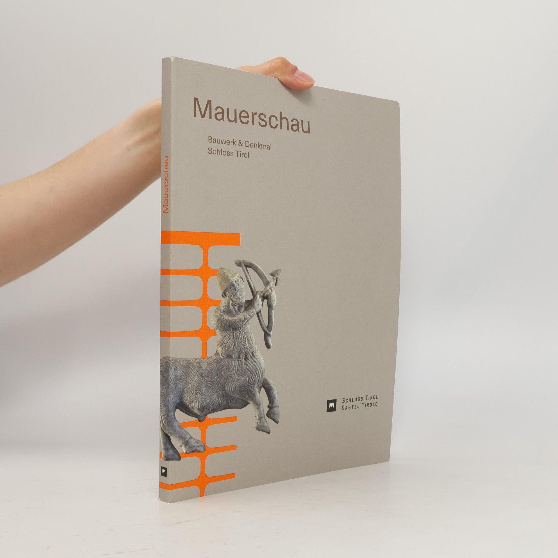 Mauerschau