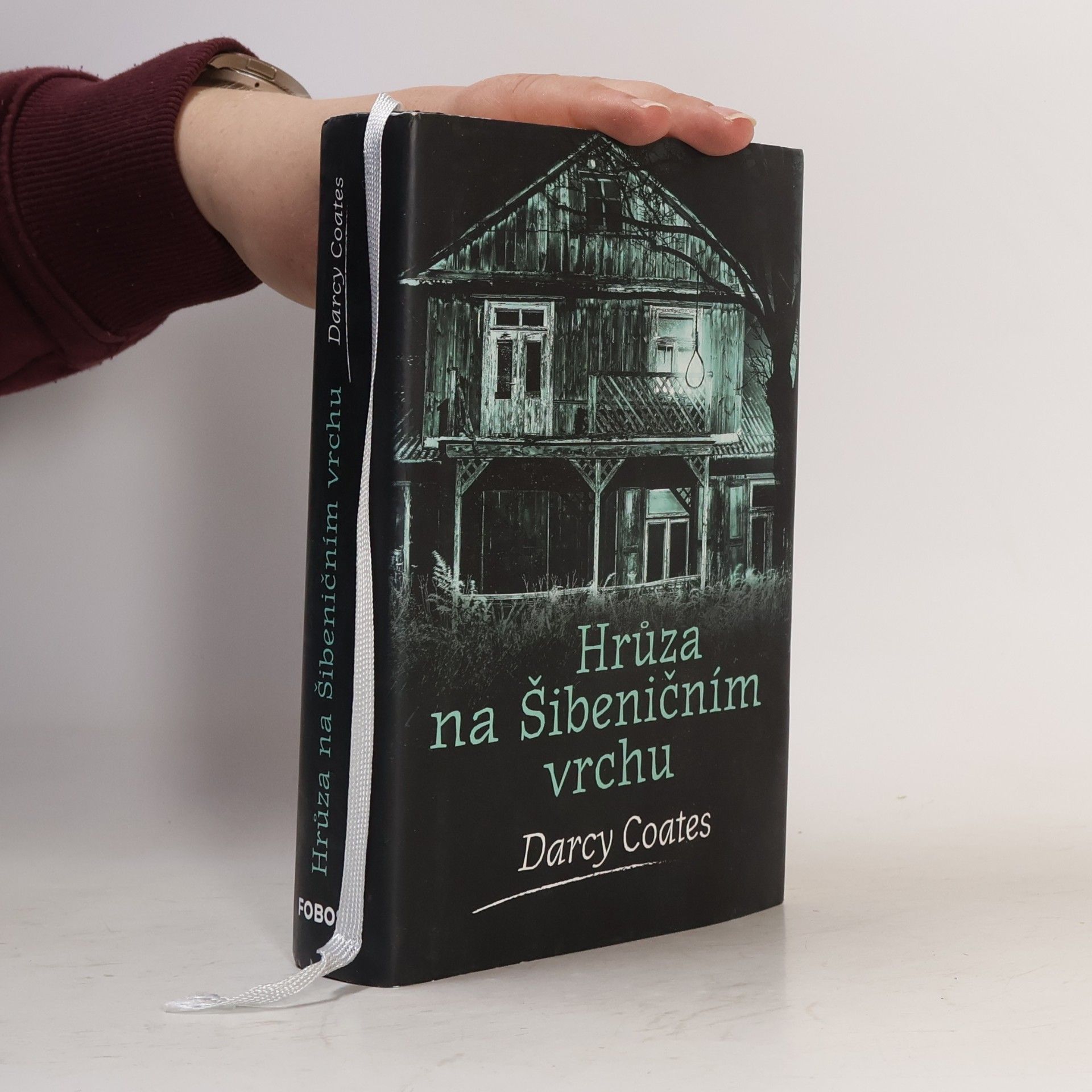 Darcy Coates Hrůza na Šibeničním vrchu