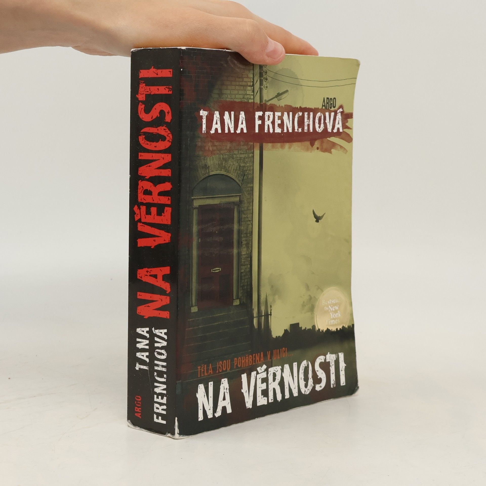 Tana French Na Věrnosti