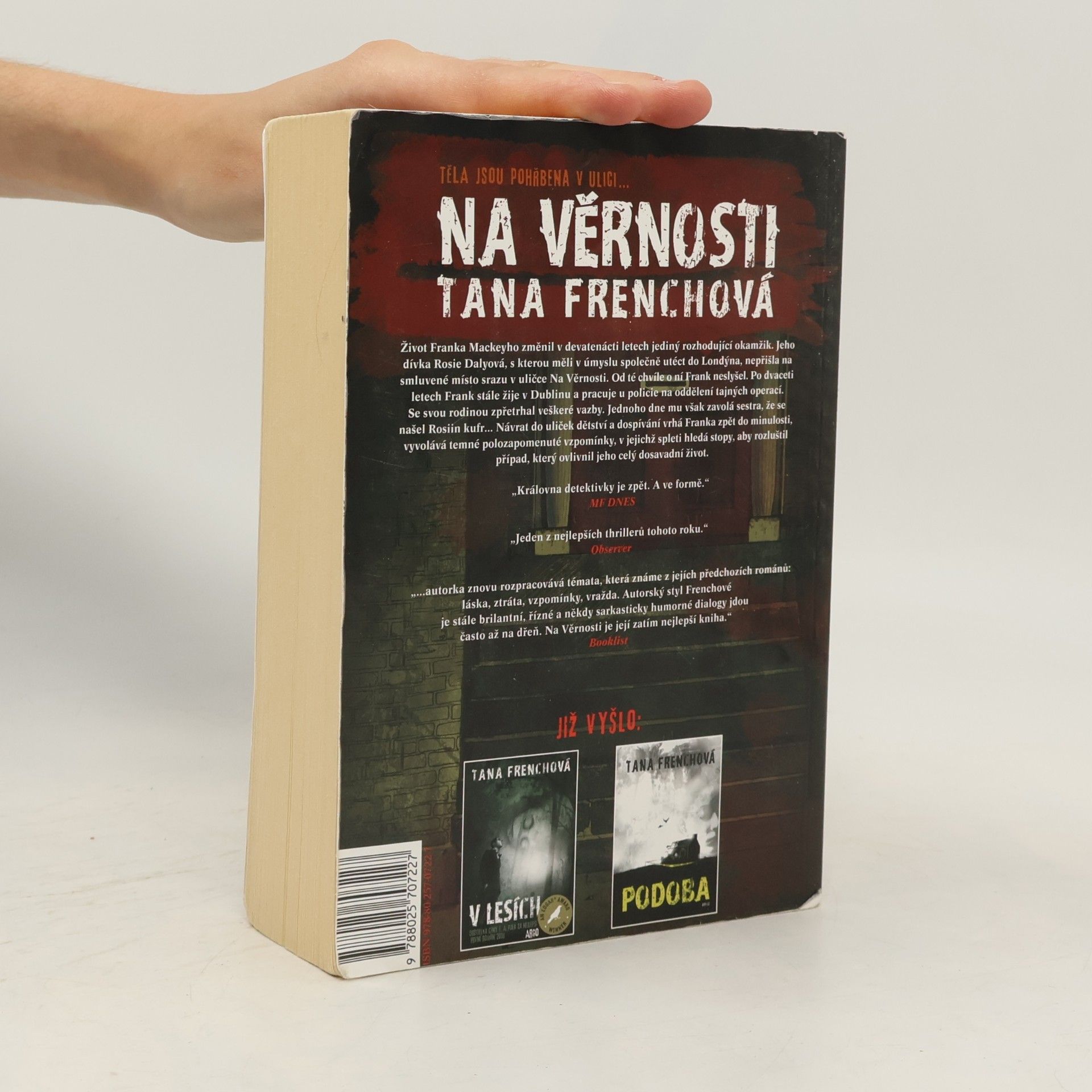 Tana French Na Věrnosti