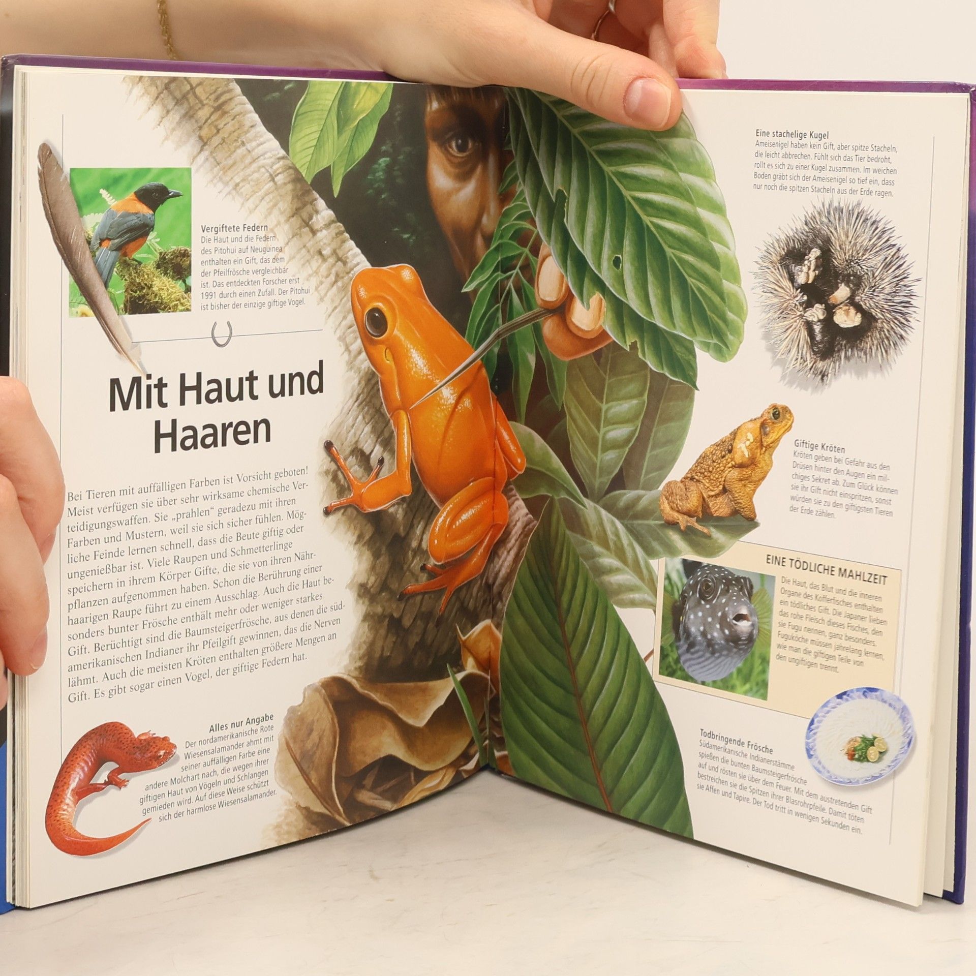 Susan Lumpkin Gefährliche Tiere