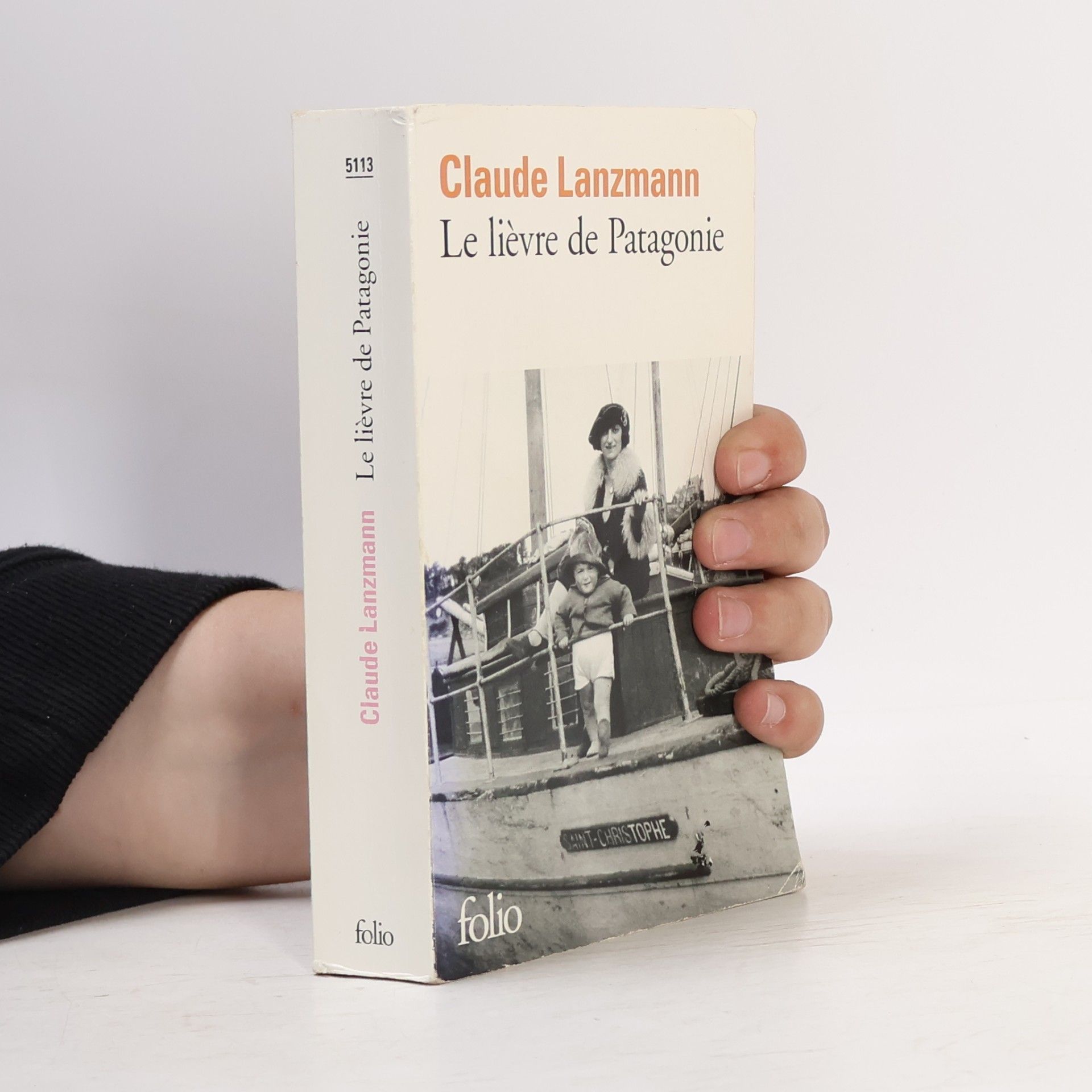 Claude Lanzmann Le lièvre de Patagonie