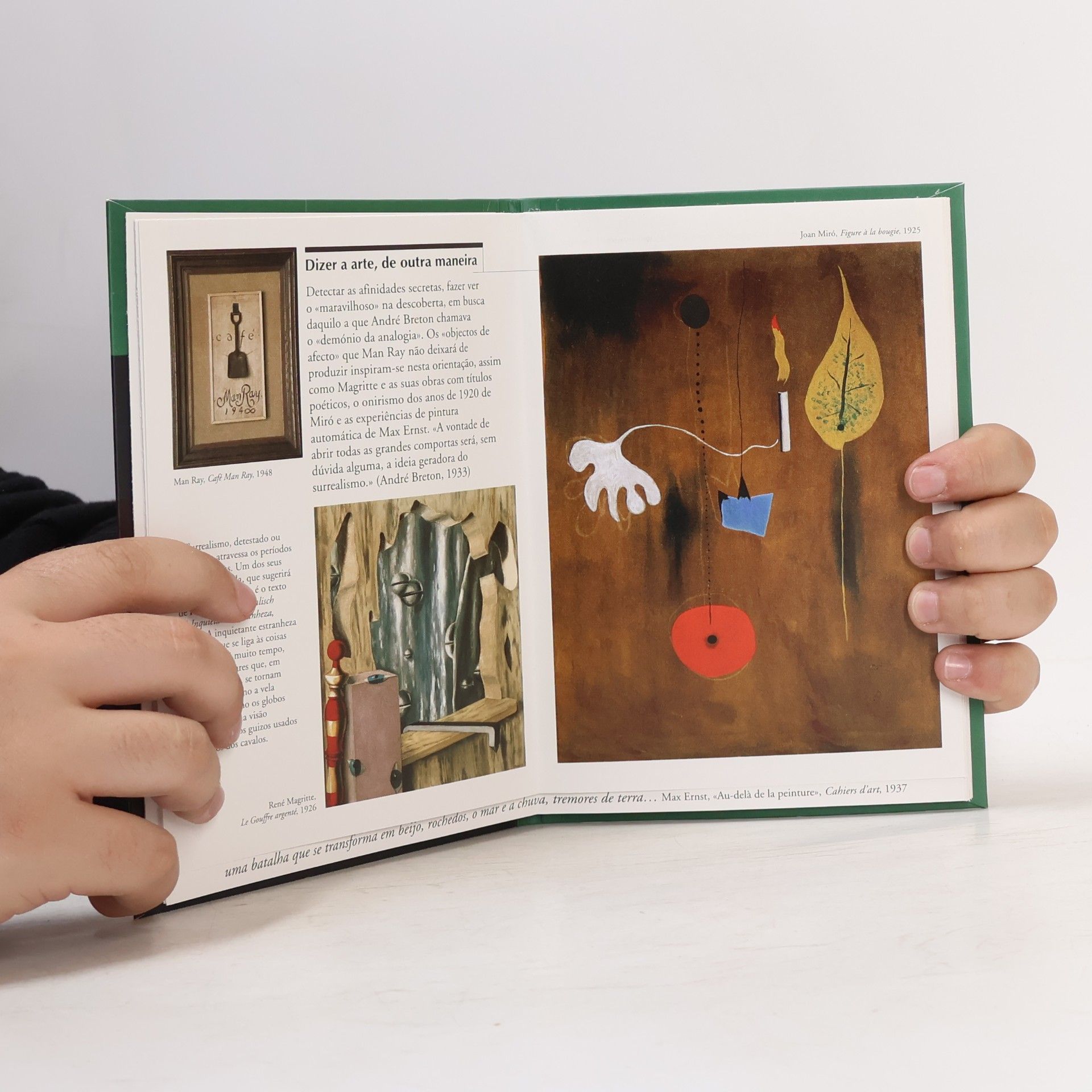 Jean-François Choux De Miró a Warhol: A Colecção Berardo
