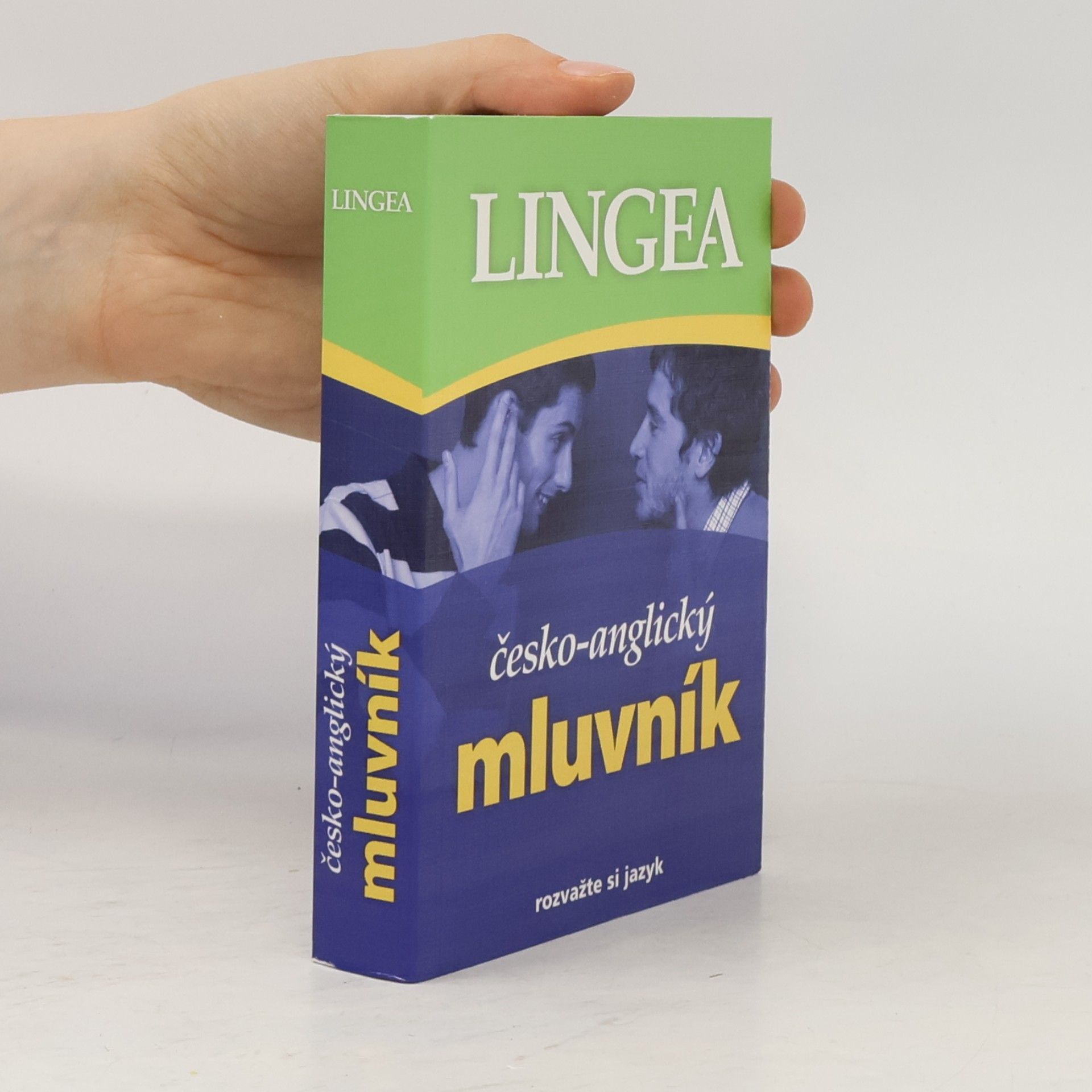 Autorenkollektiv Česko-anglický mluvník