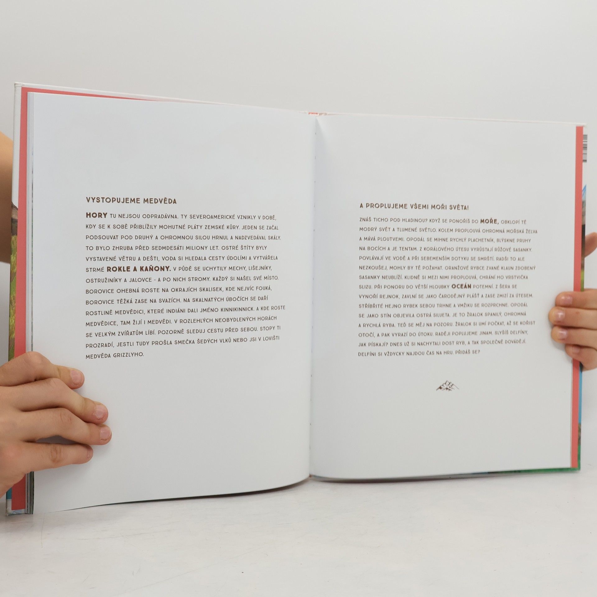 Ivana Kocmanová Zvířata, kam se podíváš