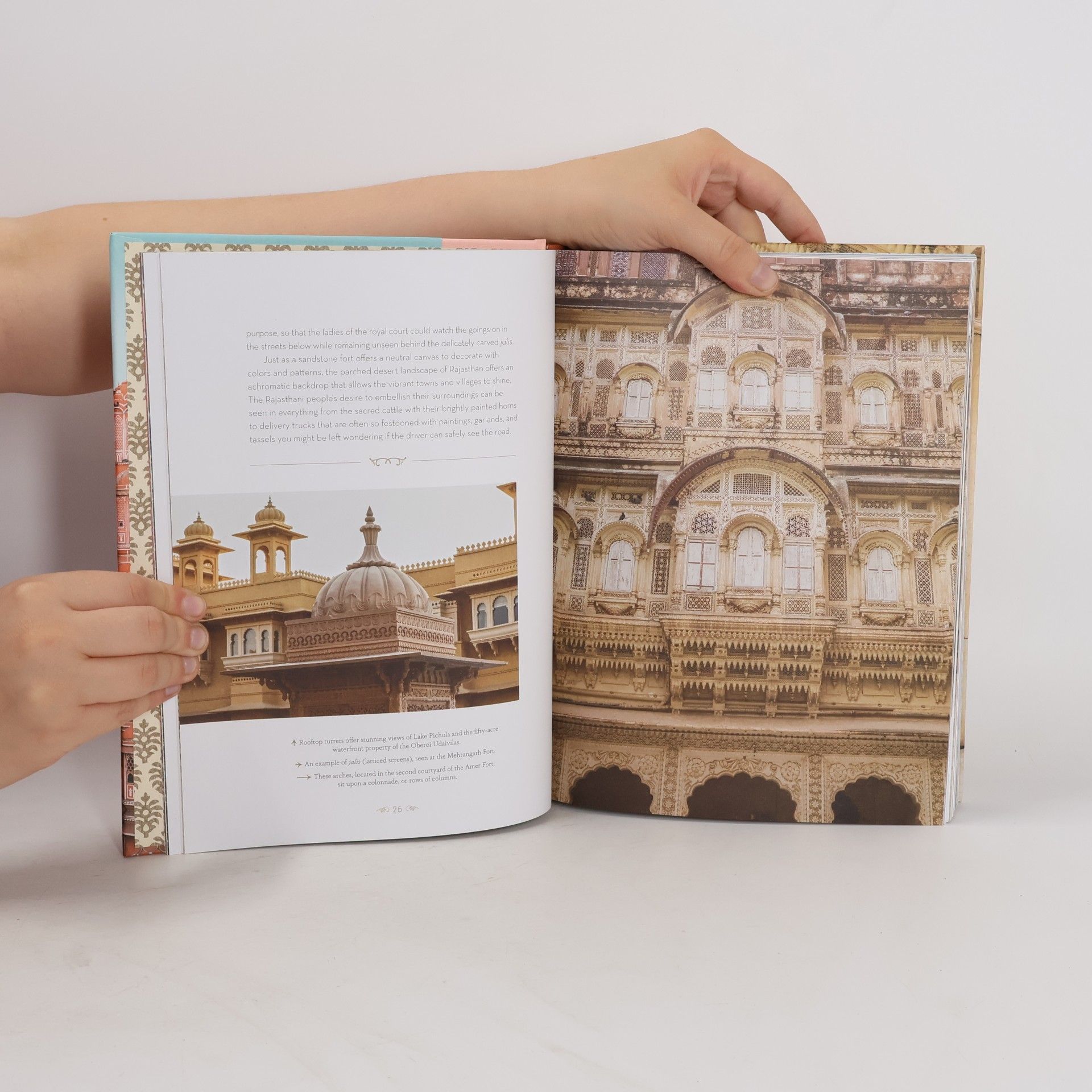 Christine Chitnis Patterns of India