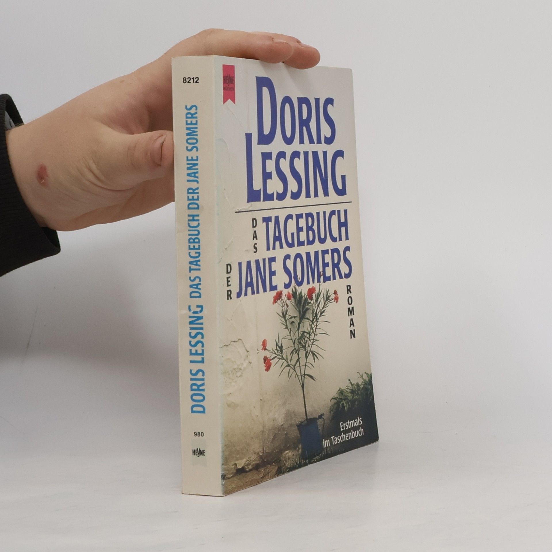 Doris Lessing Das Tagebuch der Jane Somers
