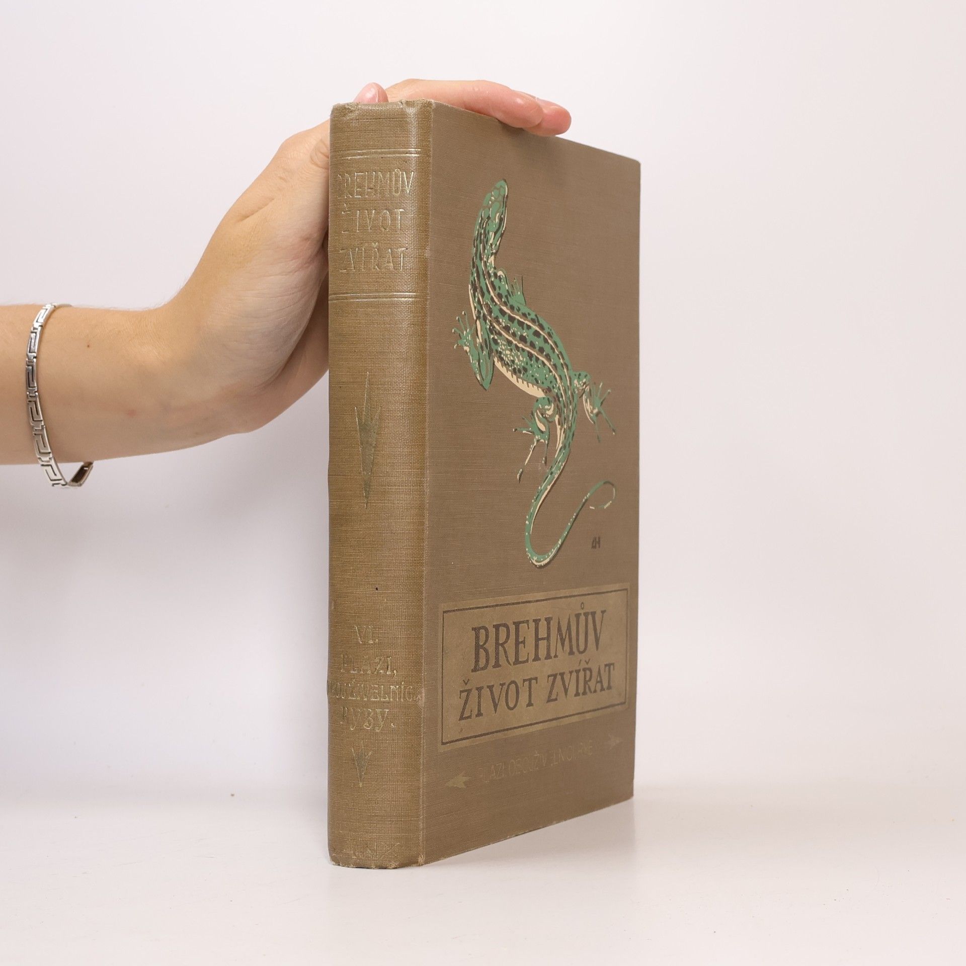 Alfred Edmund Brehm Brehmův ilustrovaný život zvířat VI. Plazi, obojživelníci, ryby