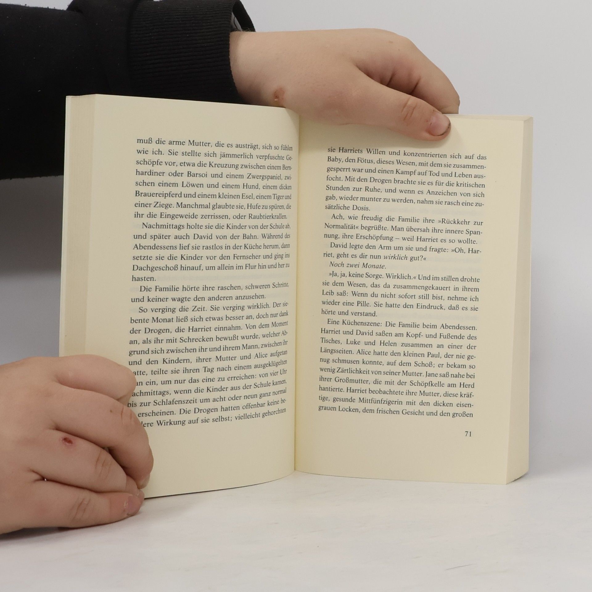 Doris May Lessing Das fünfte Kind