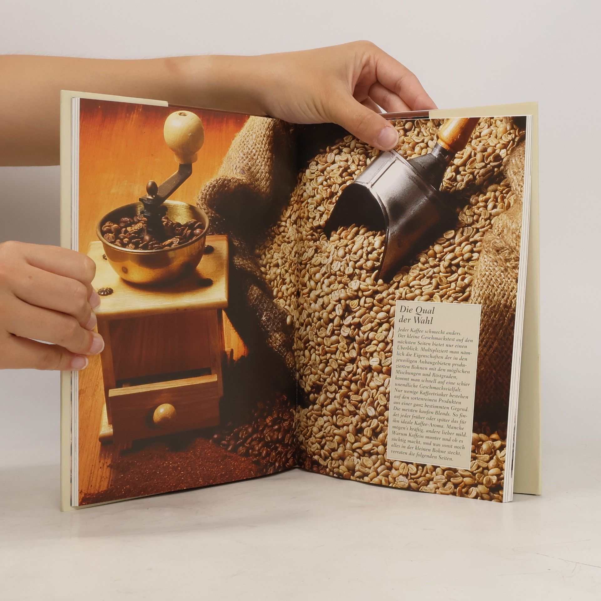 Cornelia Teufl Kaffee