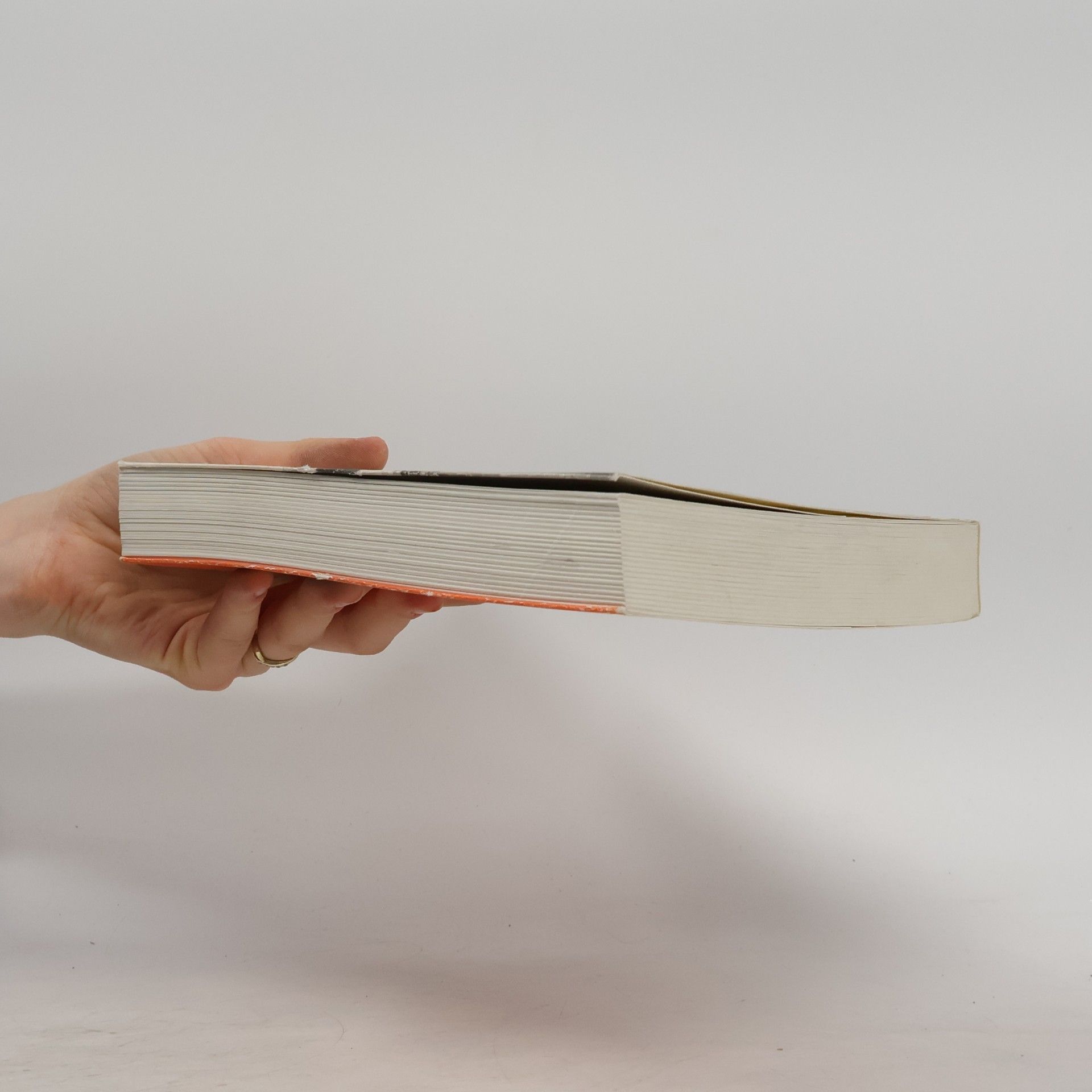 Philipp Tingler Hübsche Versuche. Mit Photos aus dem Leben des Autors