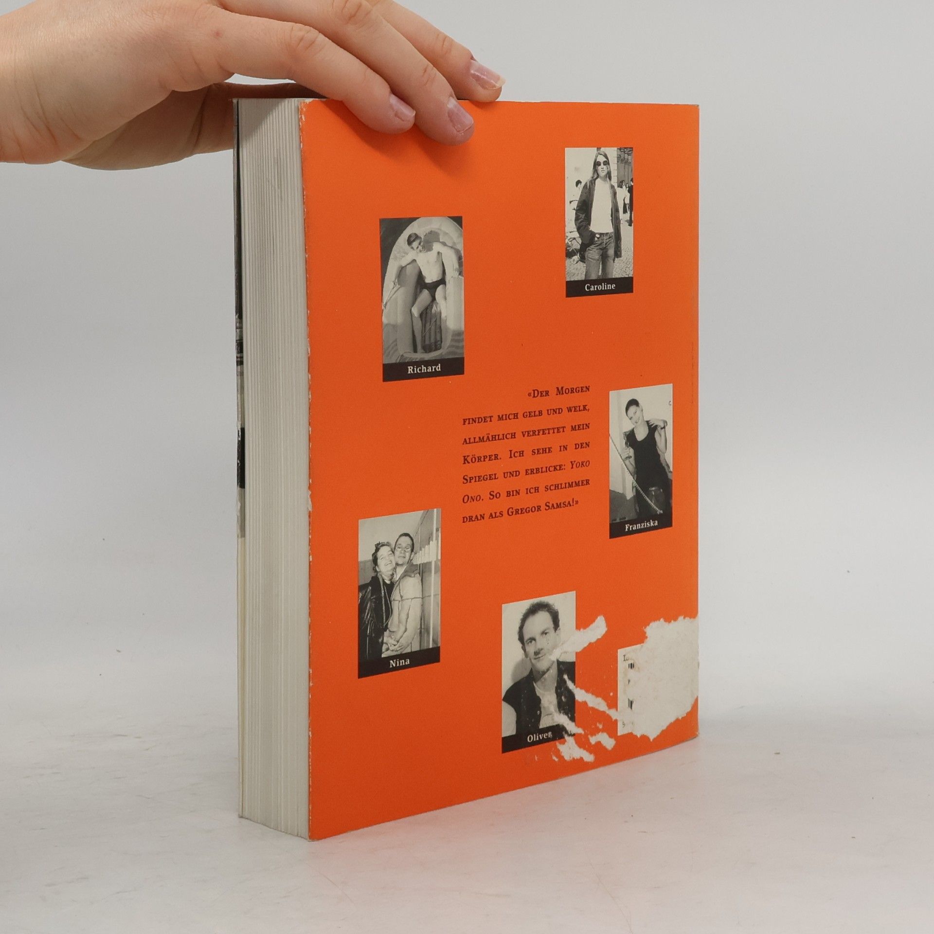 Philipp Tingler Hübsche Versuche. Mit Photos aus dem Leben des Autors