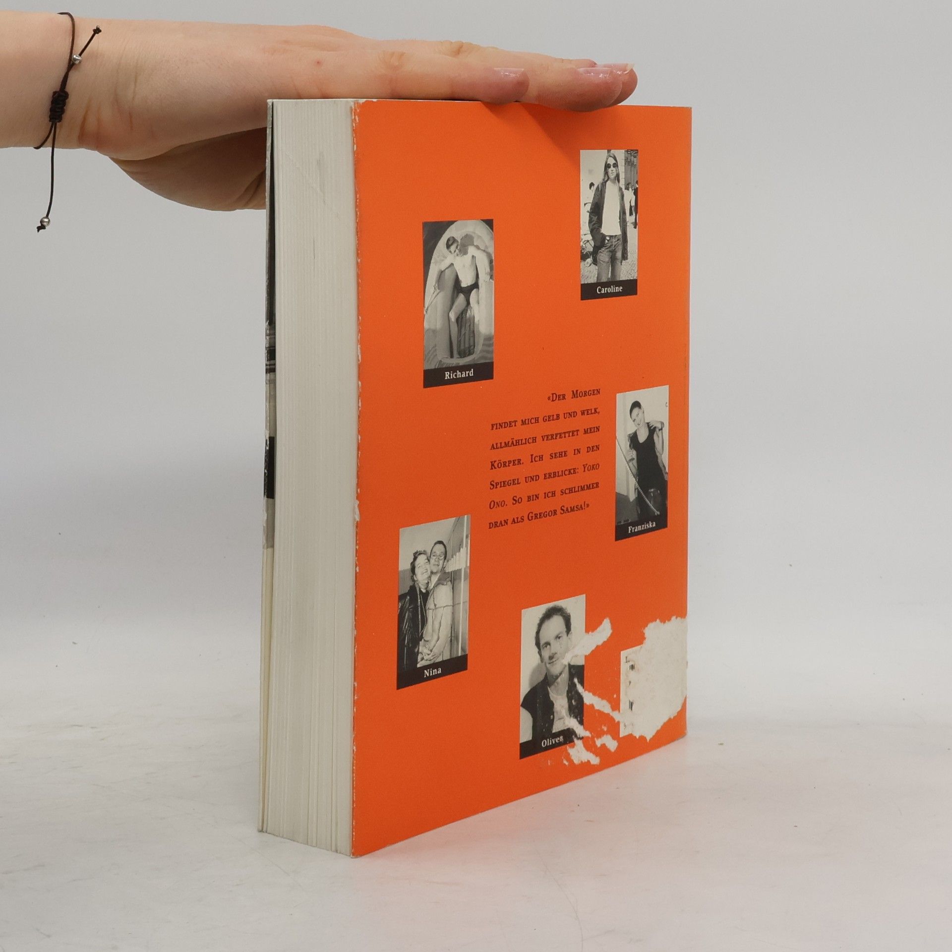 Philipp Tingler Hübsche Versuche. Mit Photos aus dem Leben des Autors