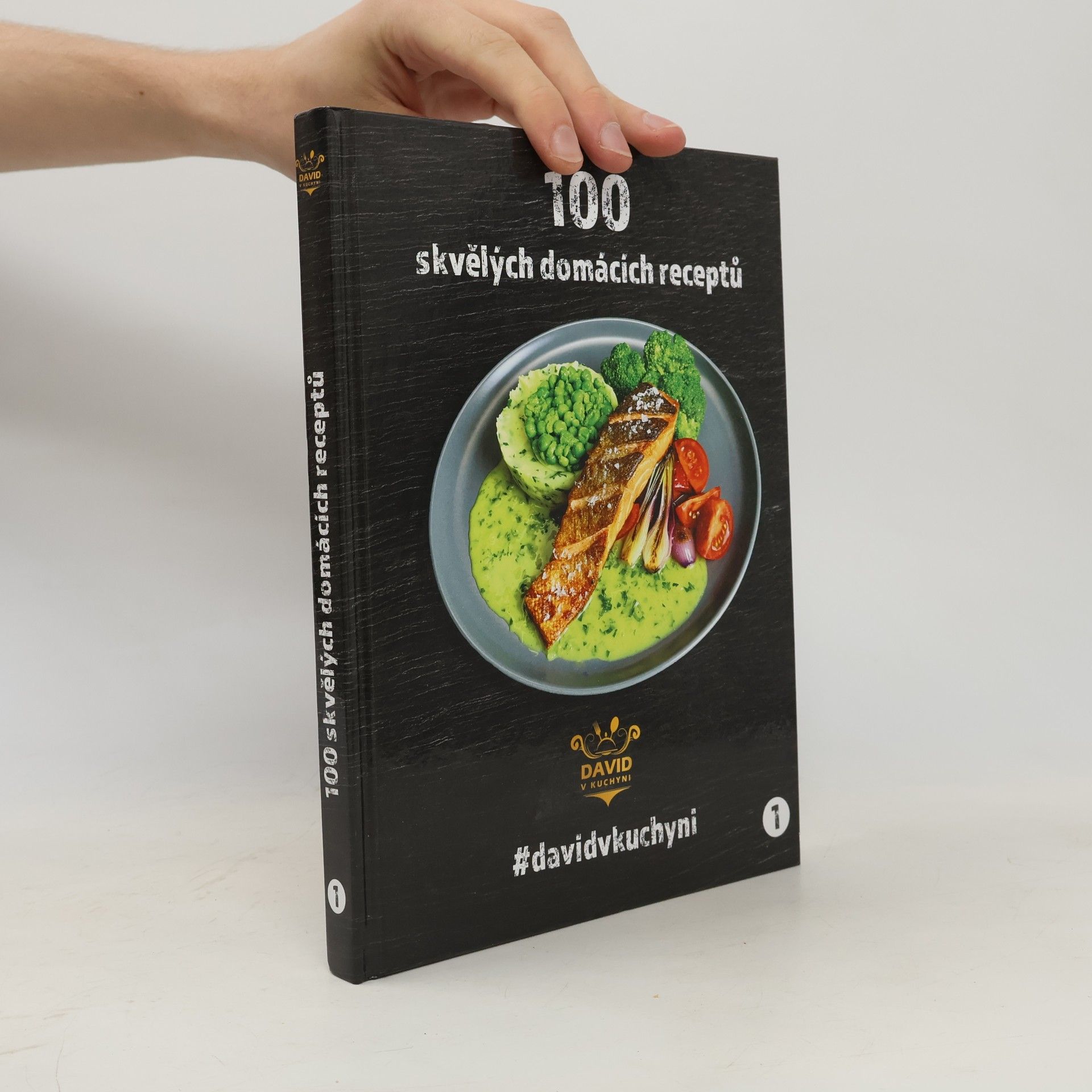 David Vonášek 100 skvělých domácích receptů