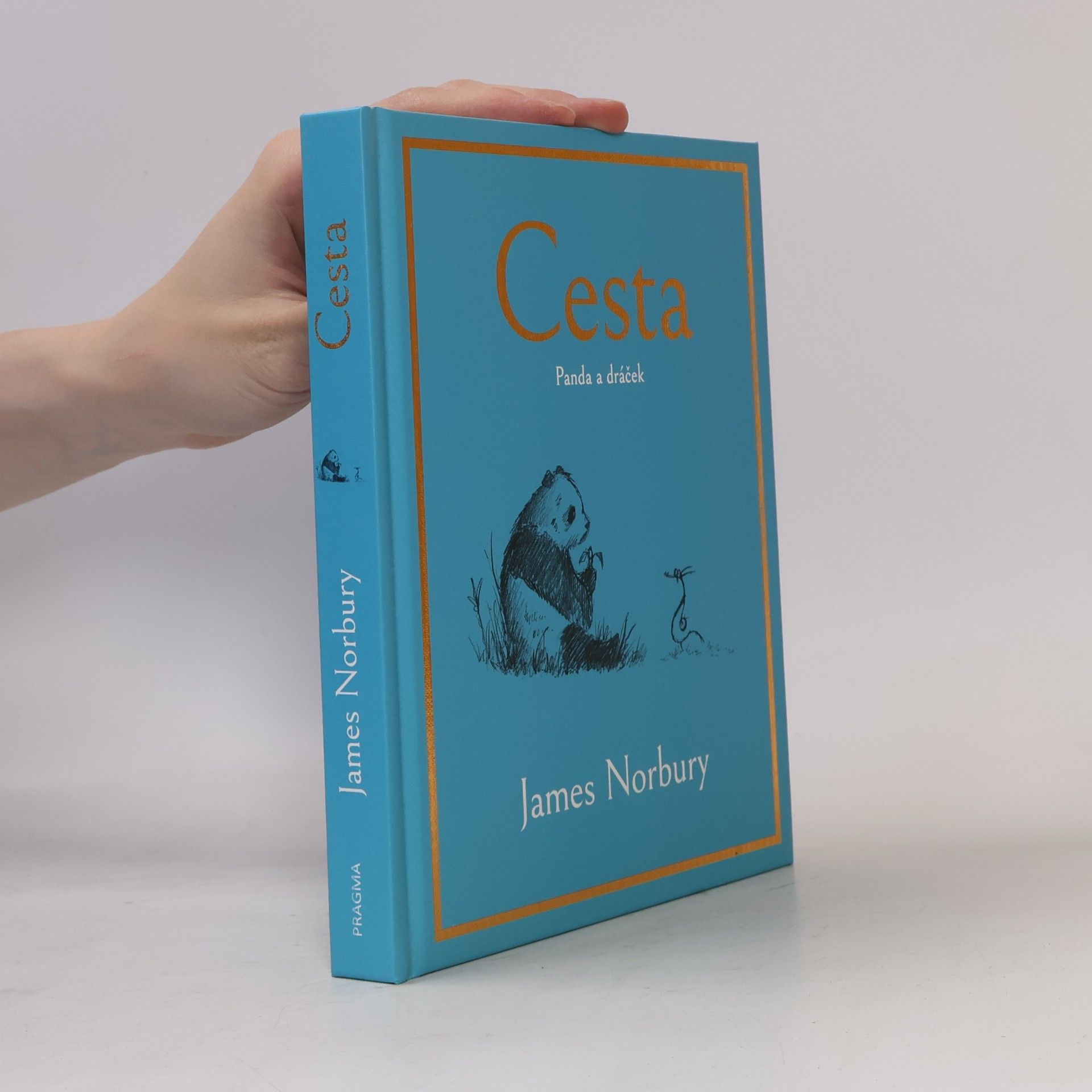 James Norbury Cesta. Panda a dráček